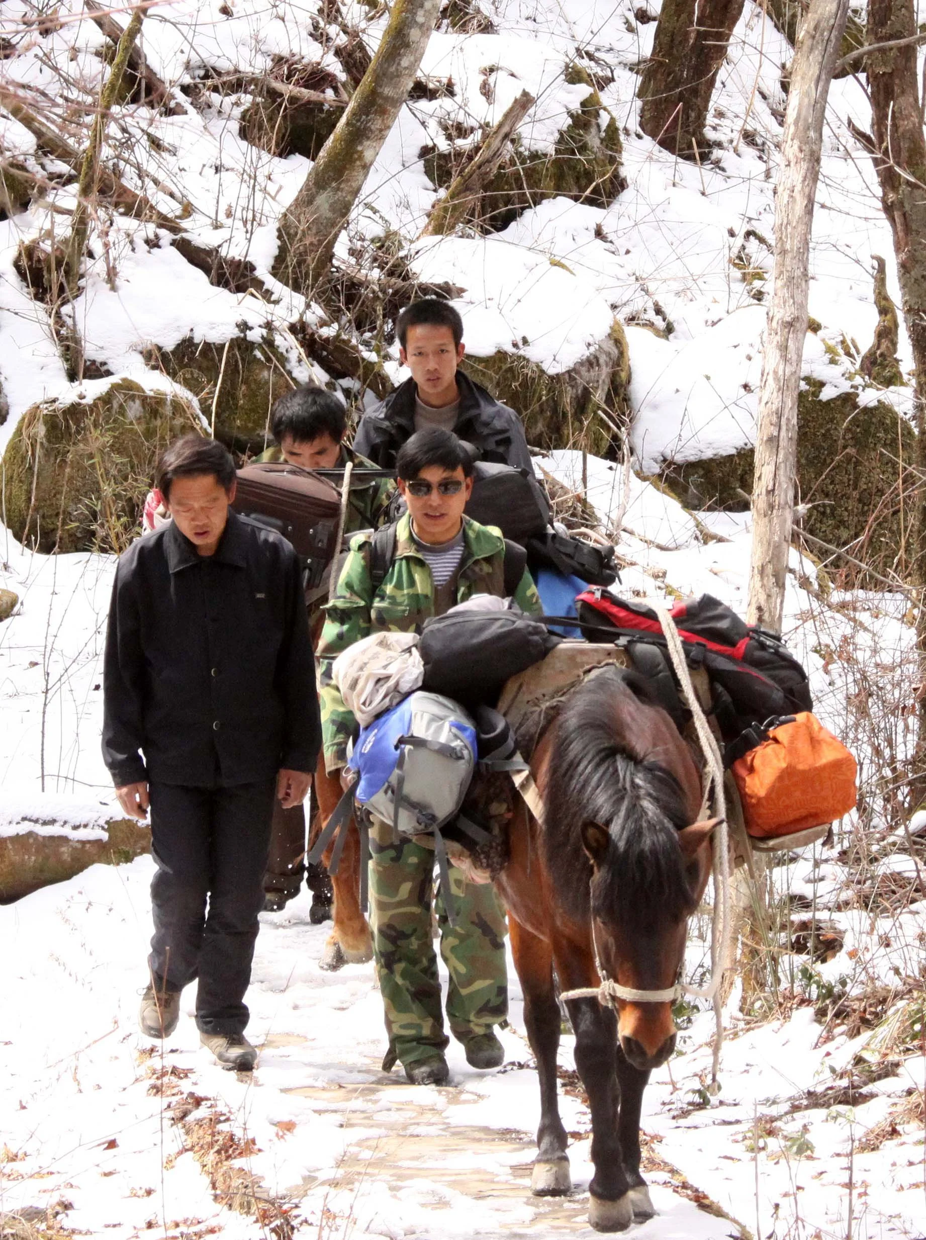 FOPING NATURE RESERVE - SHAANXI PROVINCE CHINA (264).JPG