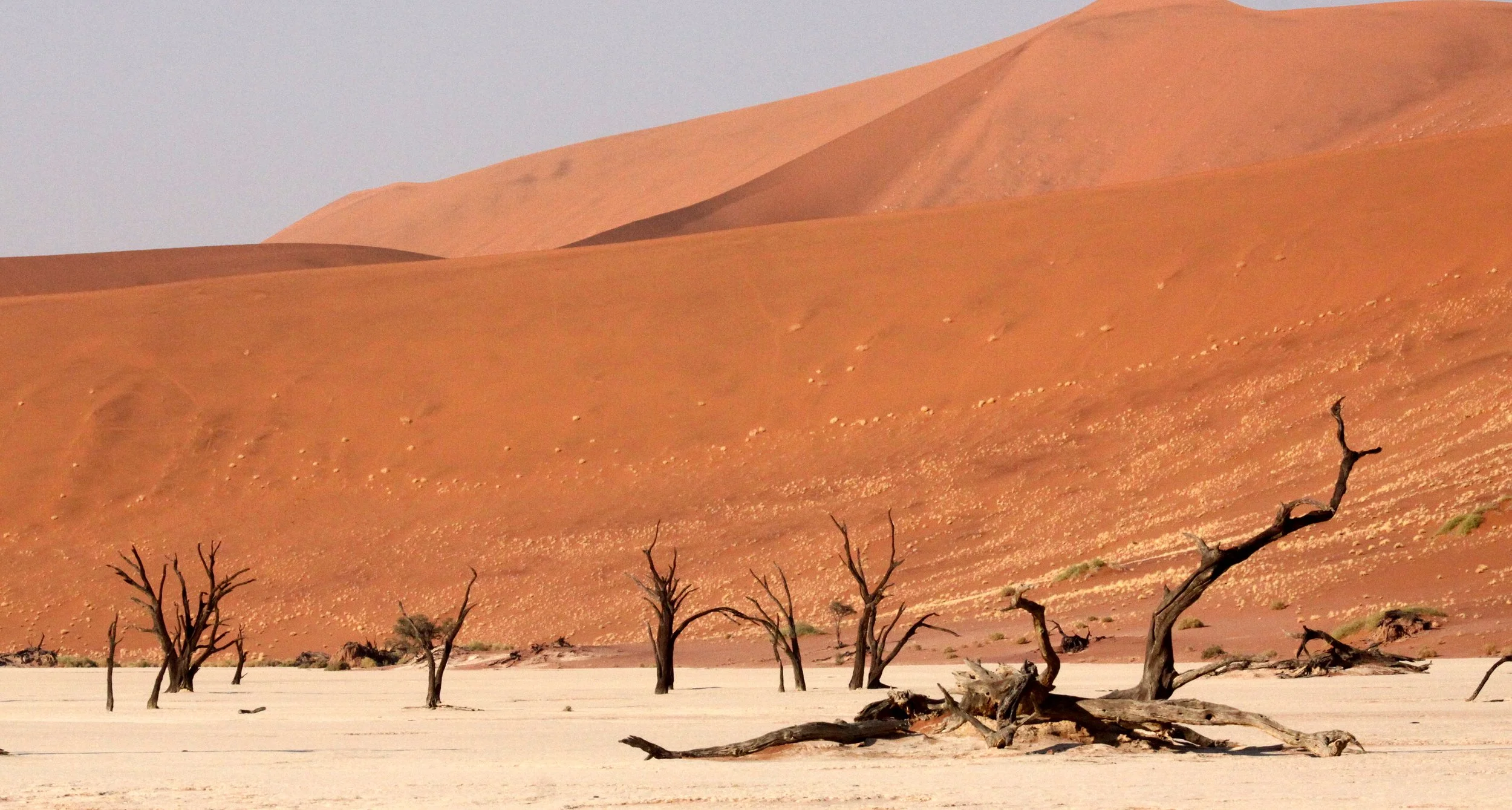 SOSSUSVLEI, NAMIB NAUKLUFT NATIONAL PARK, NAMIBIA - DEAD VLEI (18).JPG