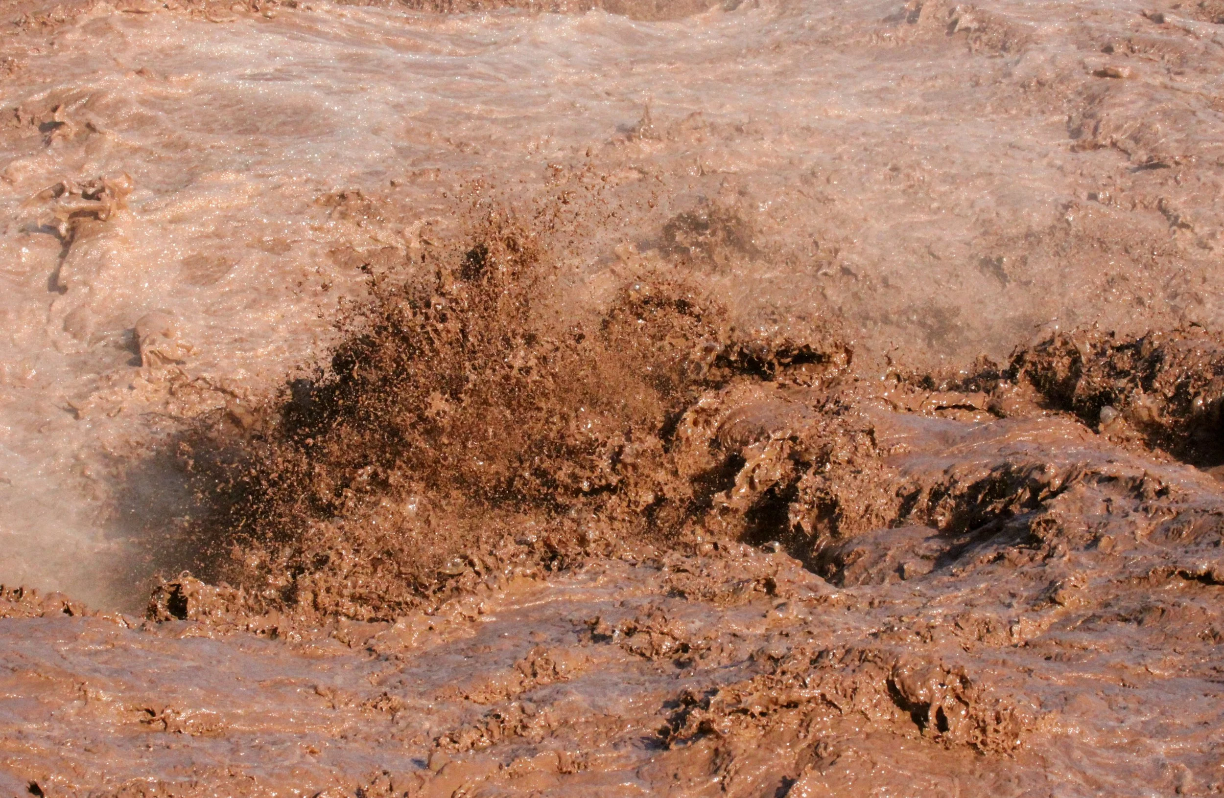 AWASH NATIONAL PARK ETHIOPIA (42).JPG