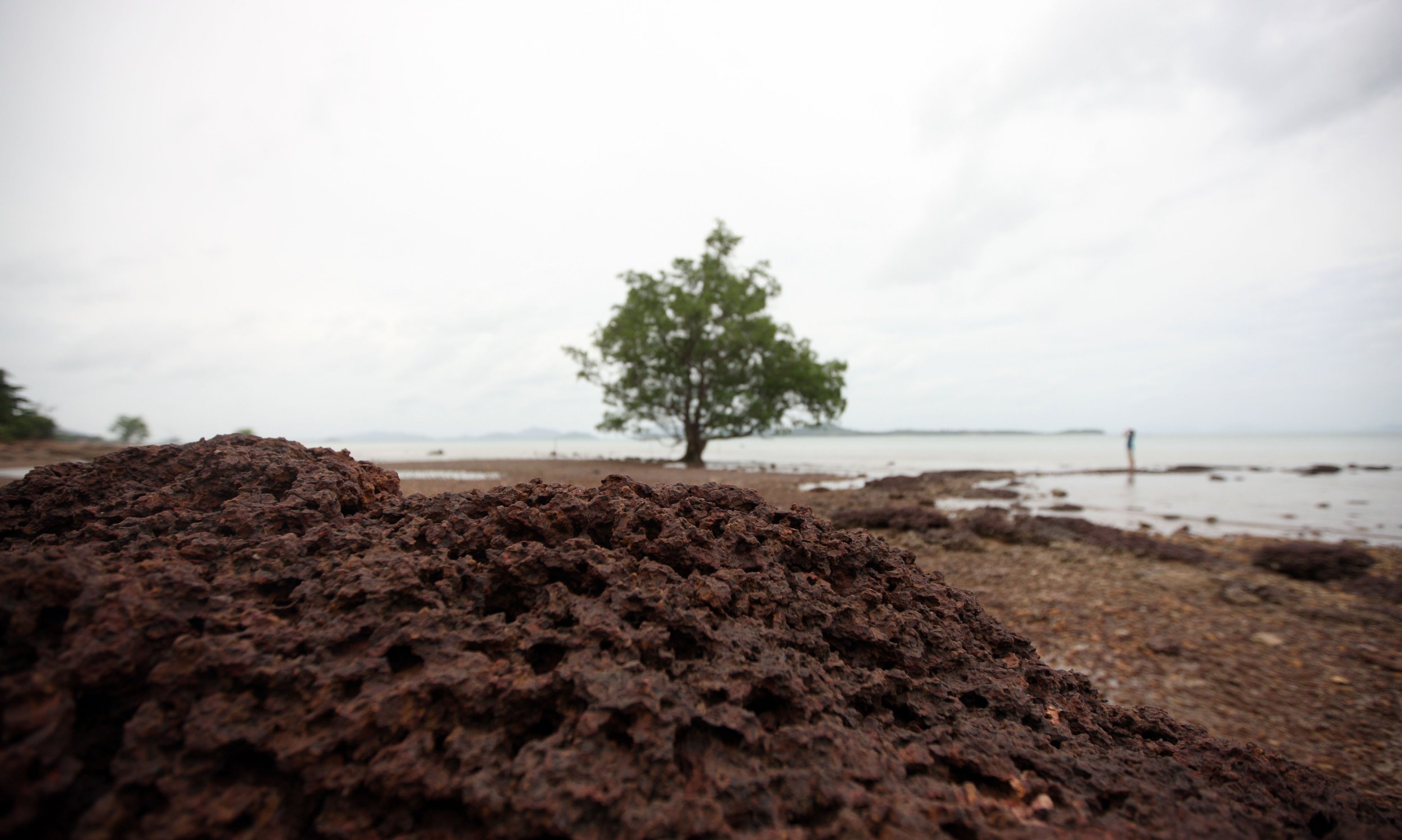 2014 Lanta Summer Fun (44).JPG