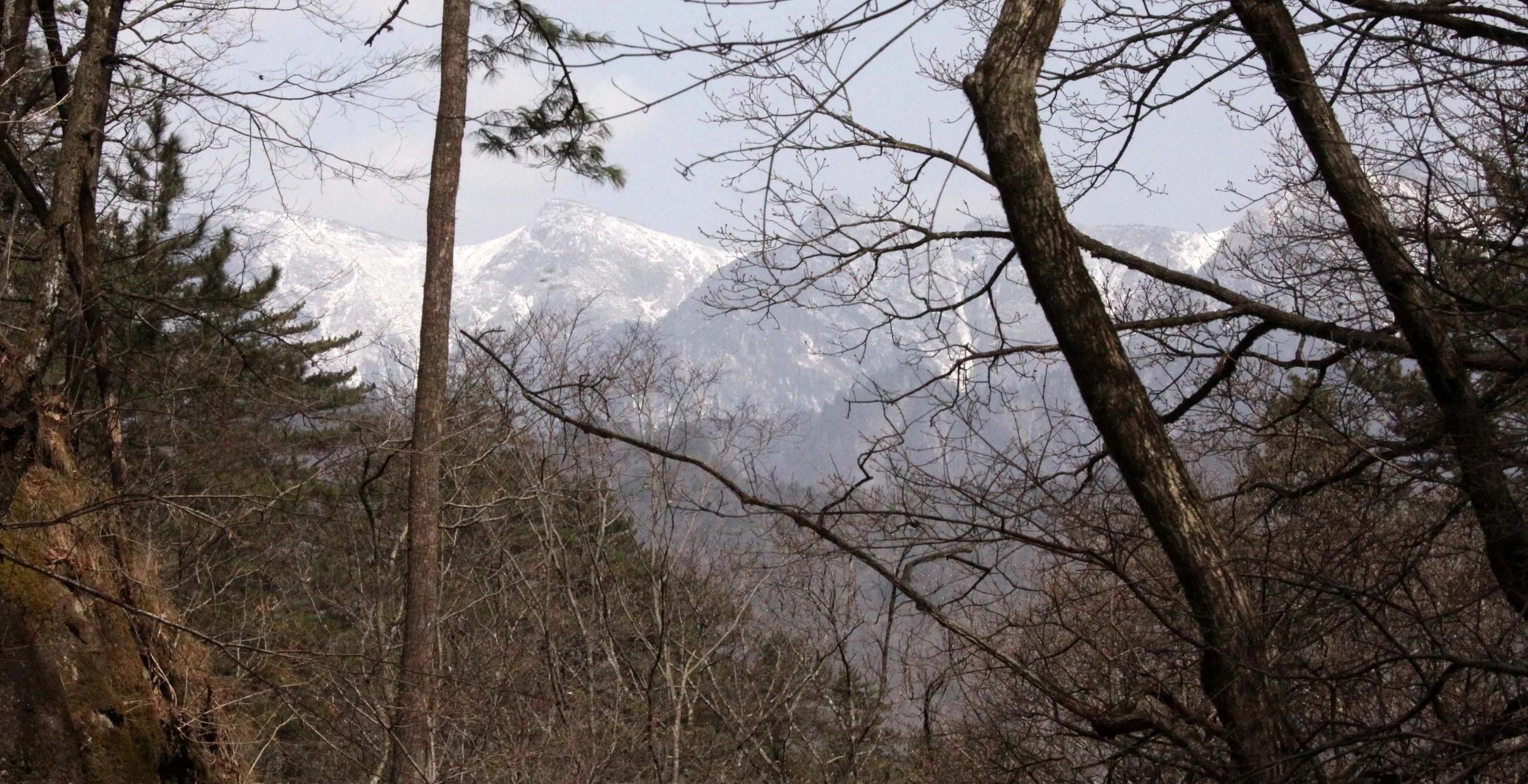 FOPING NATURE RESERVE - SHAANXI PROVINCE CHINA (230).JPG