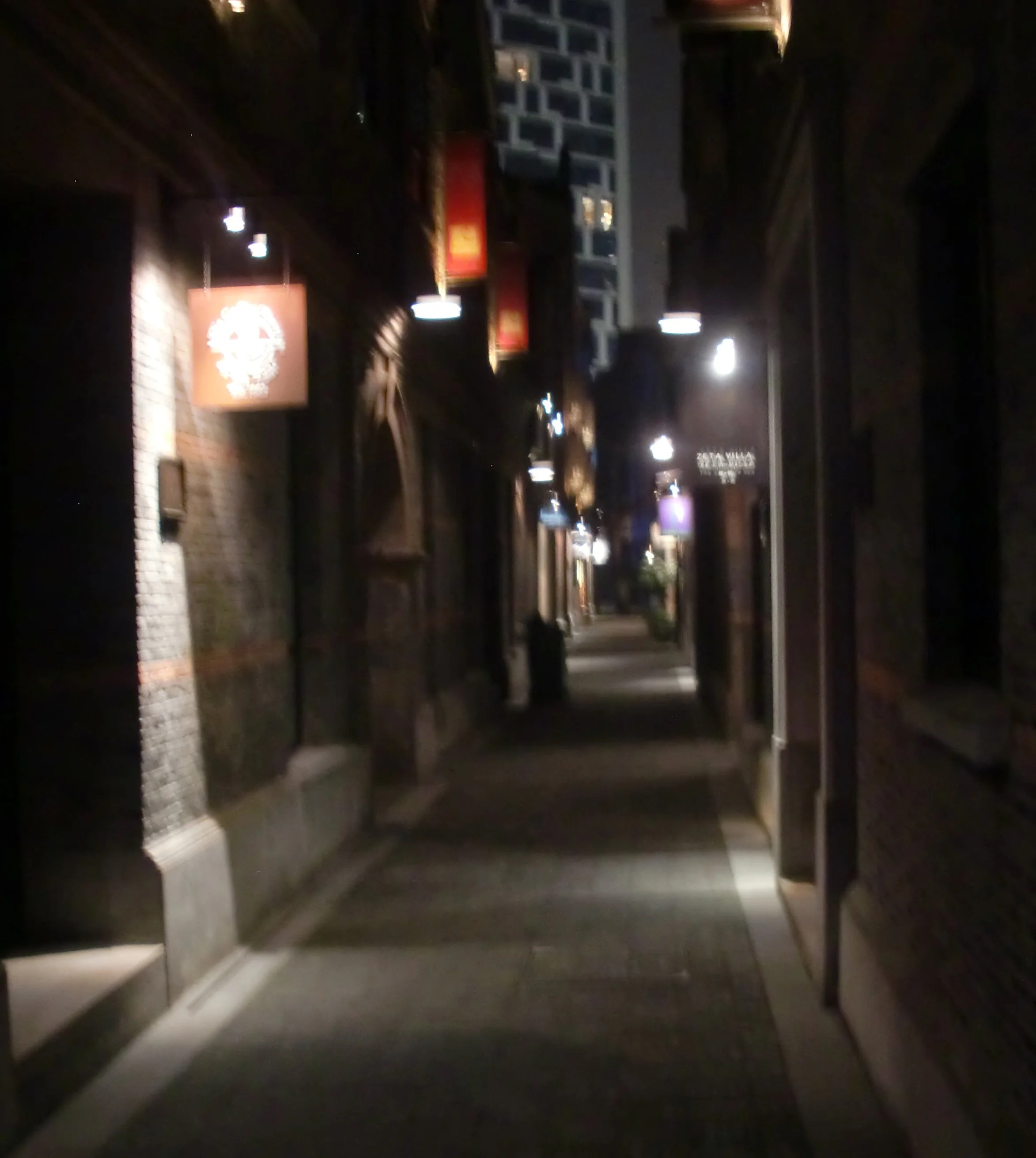 SOM'S BIRTHDAY 2011 - SAS WINTER BALL! (80).JPG