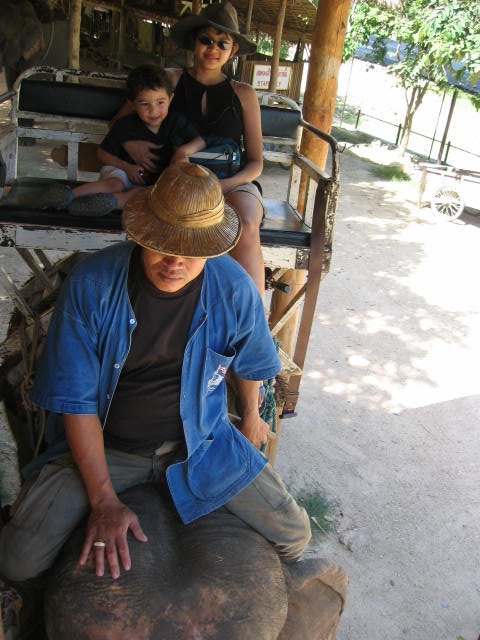 2008 Lampang City & Elephant Center (170).jpg