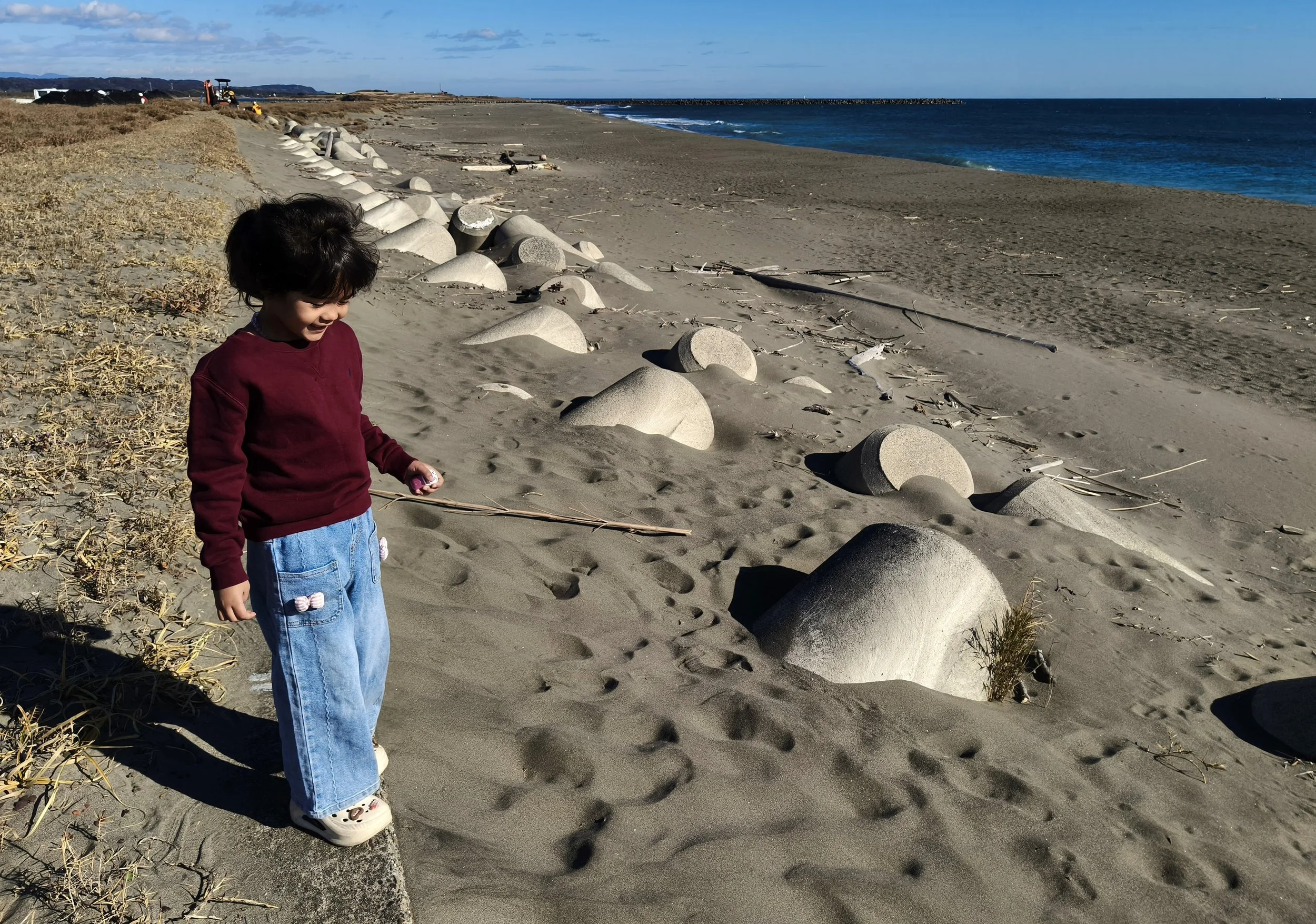 Shimotonda Sadowaracho Birding Ponds Miyazaki Kyushu Japan (135).jpg