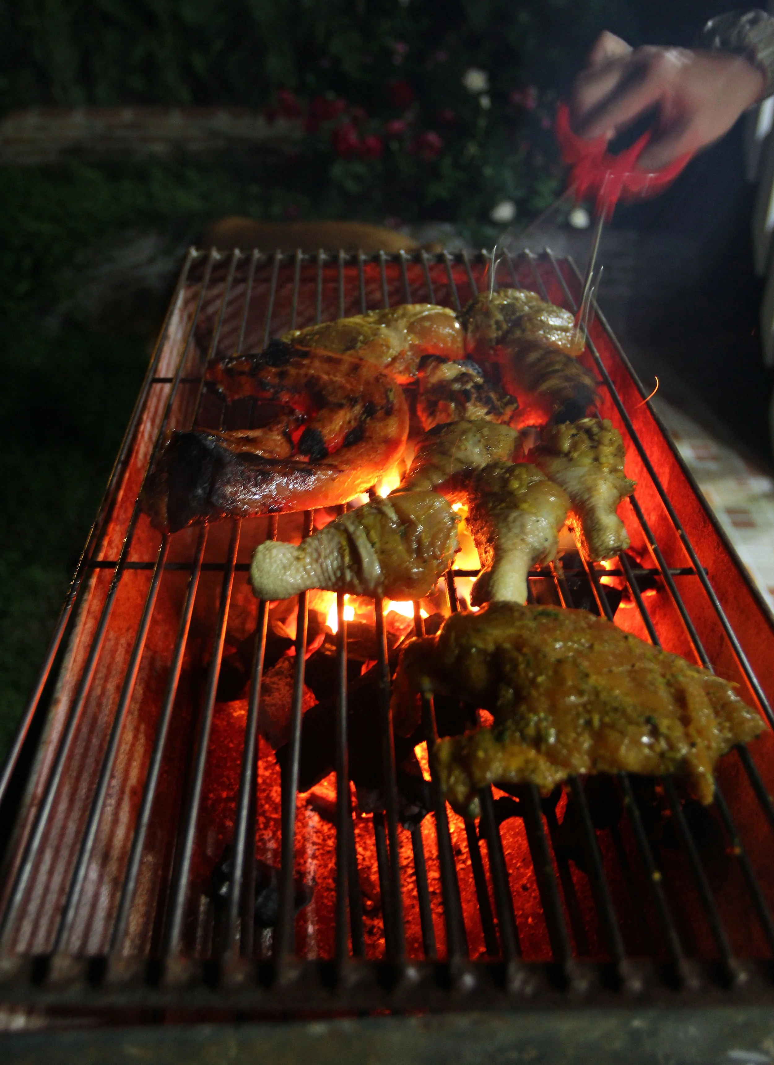 2015 Khao Pang Ma Nonhunting Area (138).JPG