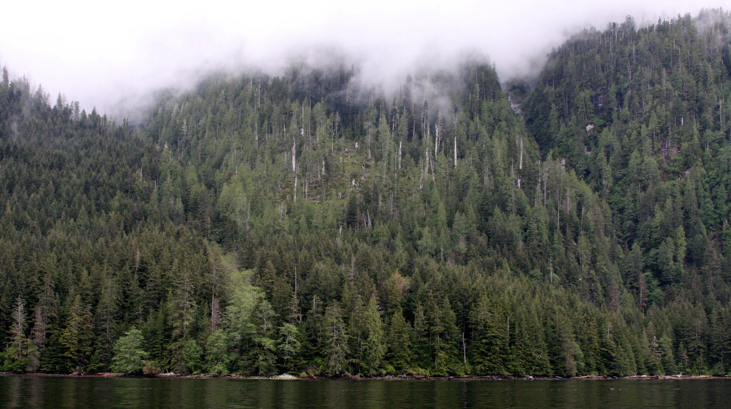 KNIGHT'S INLET BRITISH COLUMBIA (21).JPG