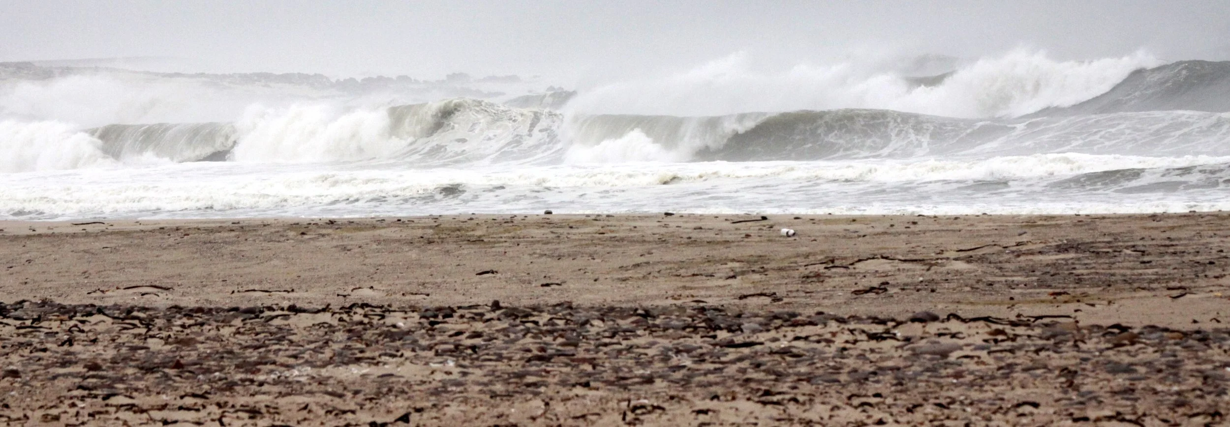 NAMIBIA - SKELETON COAST NATIONAL PARK - SCENERY (10).JPG