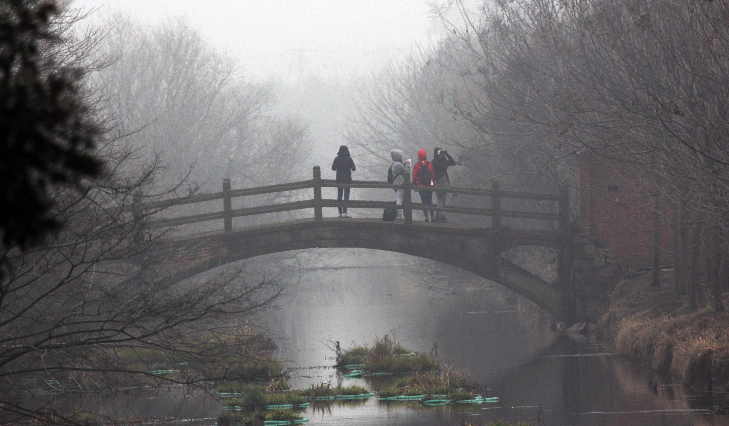 LAKE TAI JIANGSU PROVINCE - IB & APES FIELD TRIP TO LAKE TAI (100).JPG