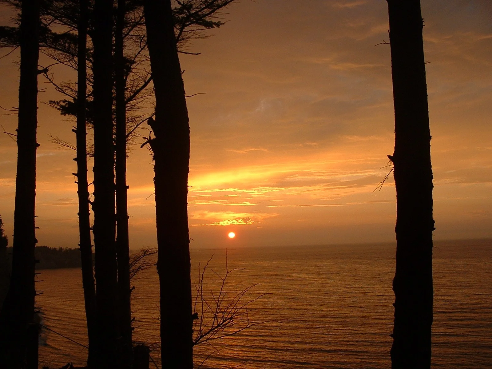 2003-8-1 WASHINGTON VISIT FROM ROBINSONS ET AL (137).JPG