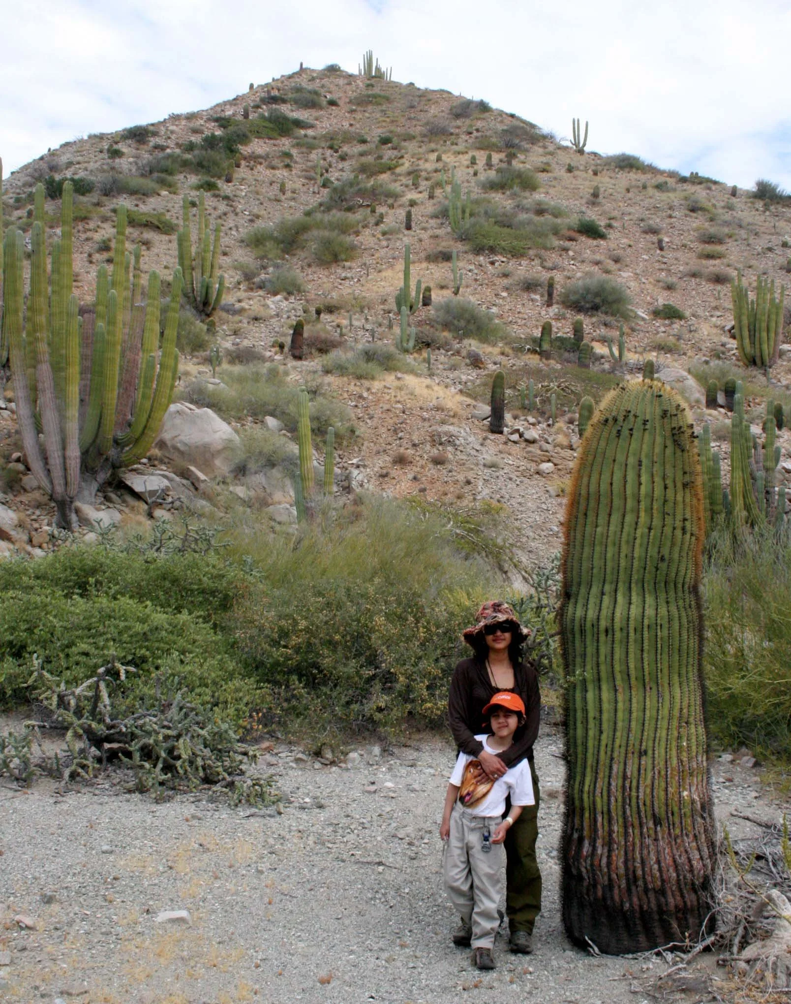 ISLA CATALINA - WITH THE CATALINA BARREL CACTUS (2).JPG