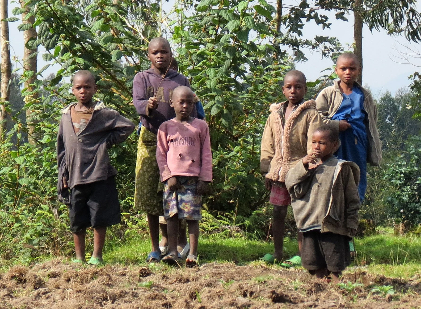 PARC DU VULCANS RWANDA (16).JPG