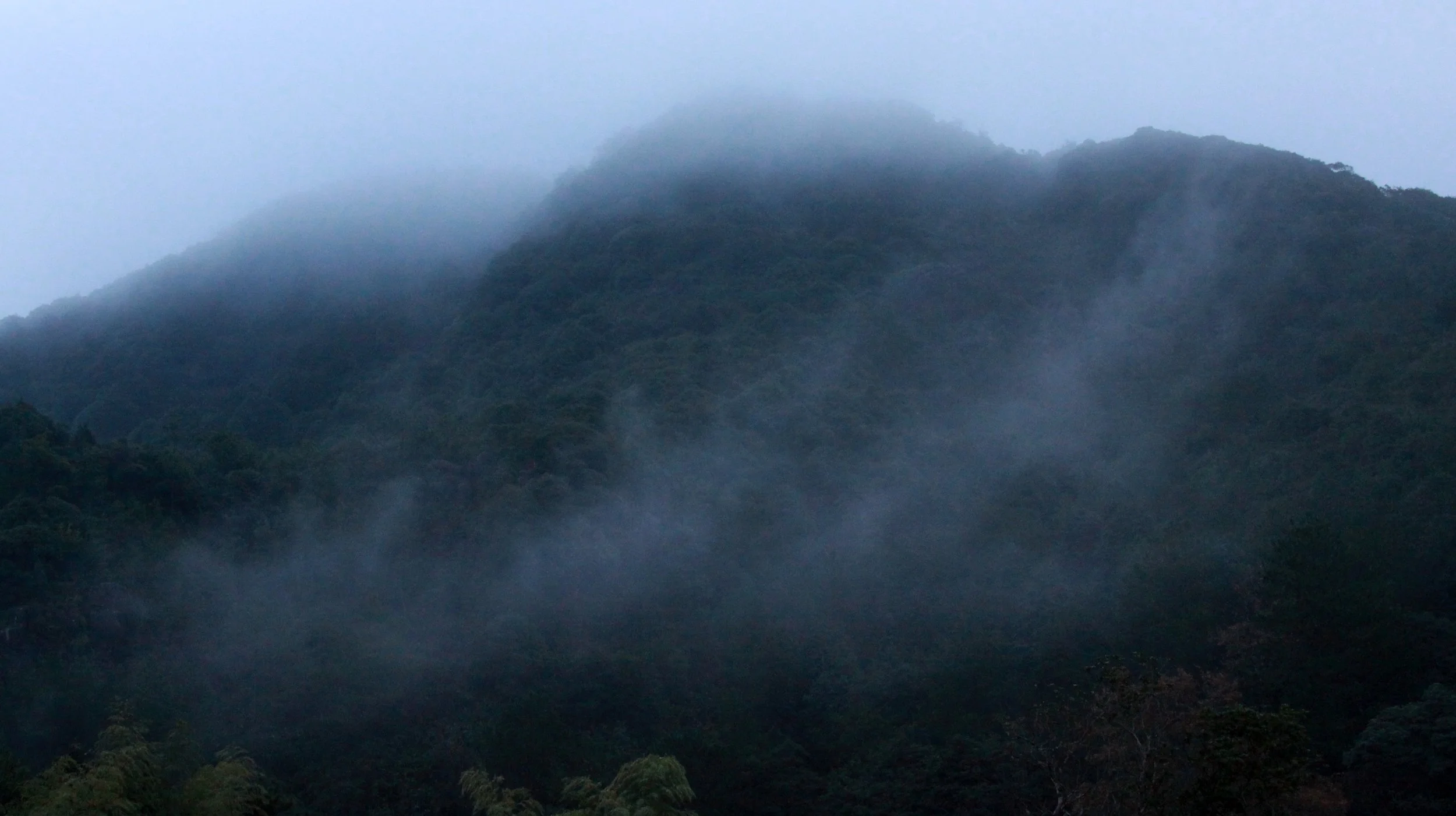 MEIHUASHAN - FUJIAN CHINA (41).JPG