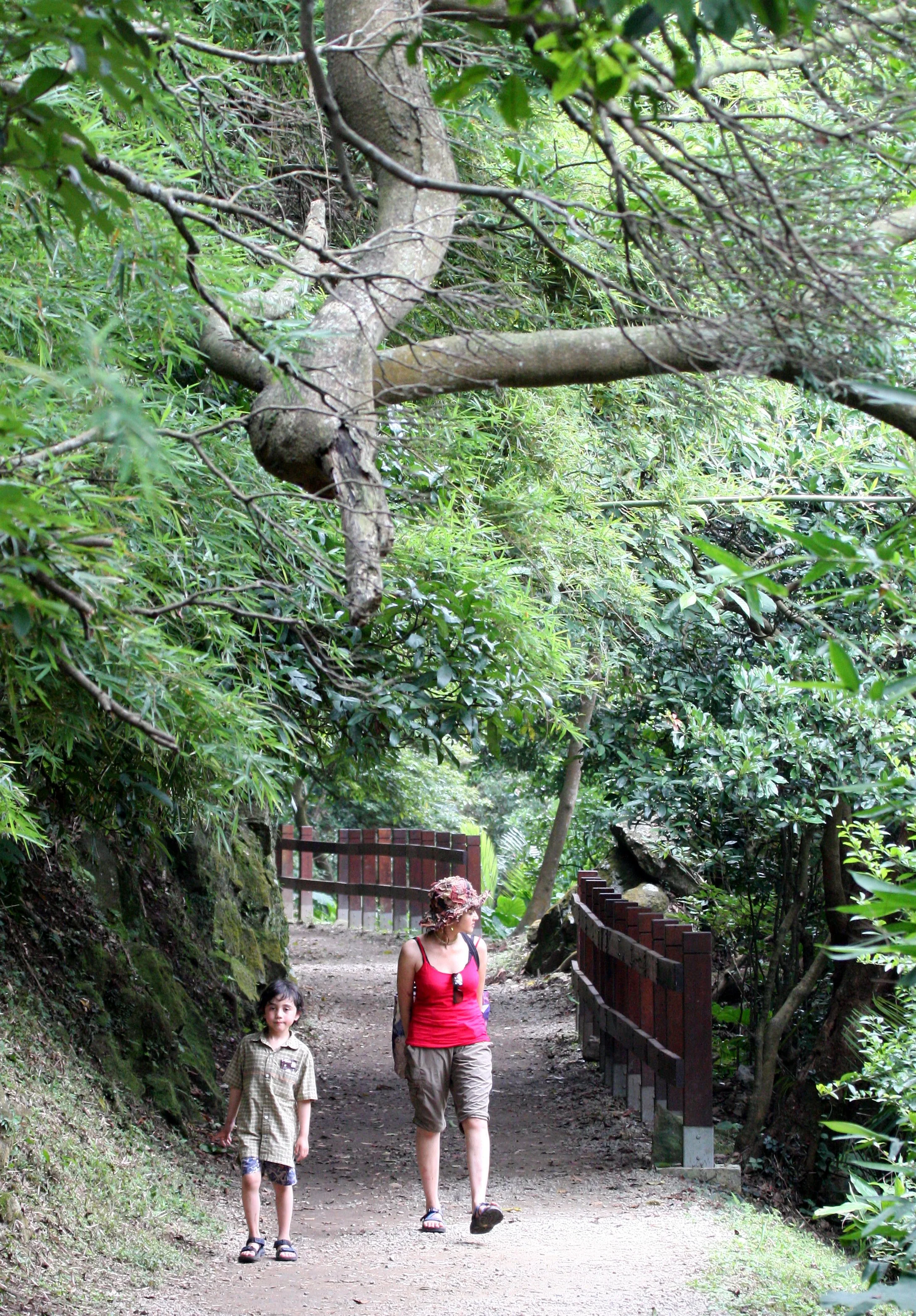 TAIPEI - MACAQUE TRAIL - LOOKING FOR FORMOSAN MACAQUE.JPG