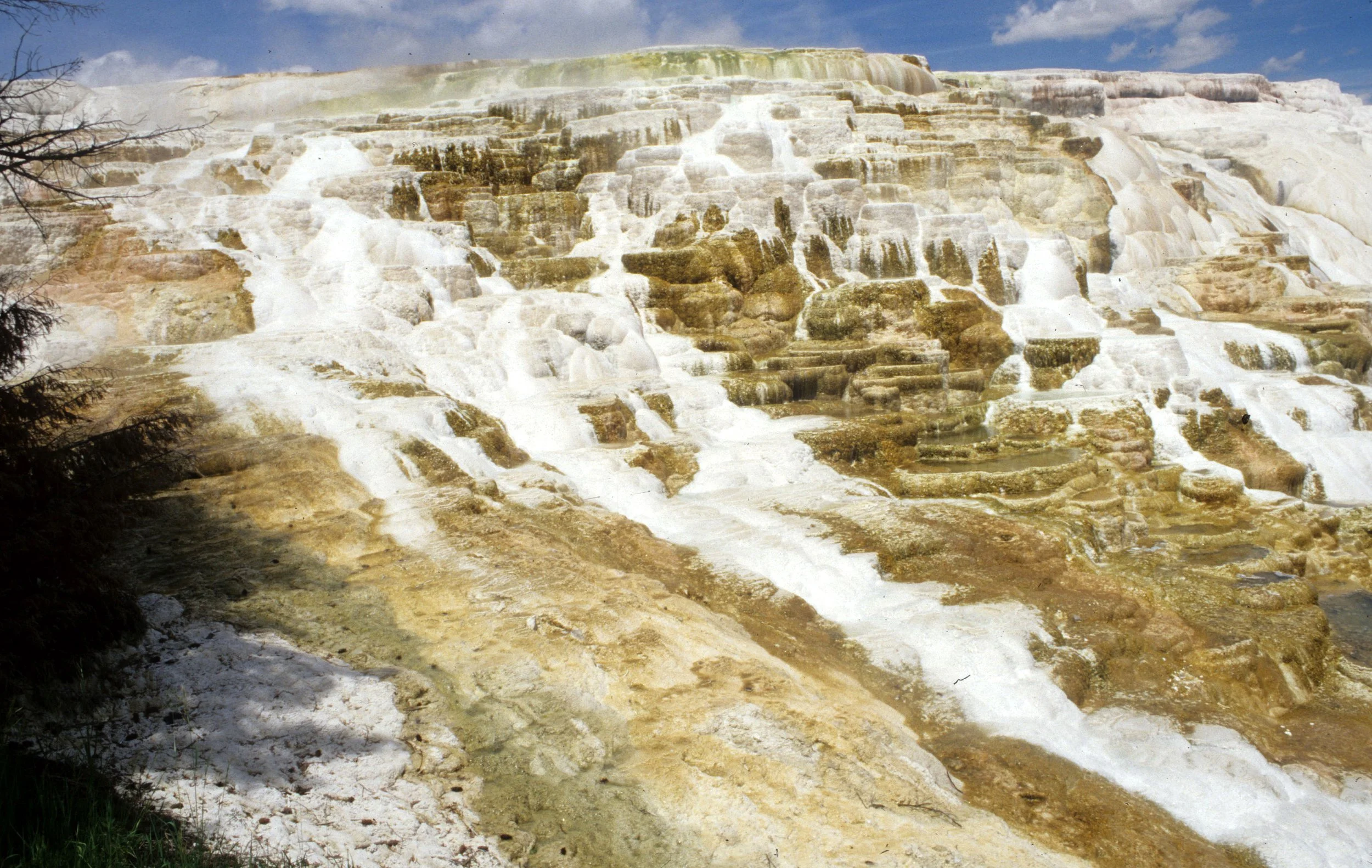 YELLOWSTONE - MAMMOTH HOTSPRINGS Z.jpg