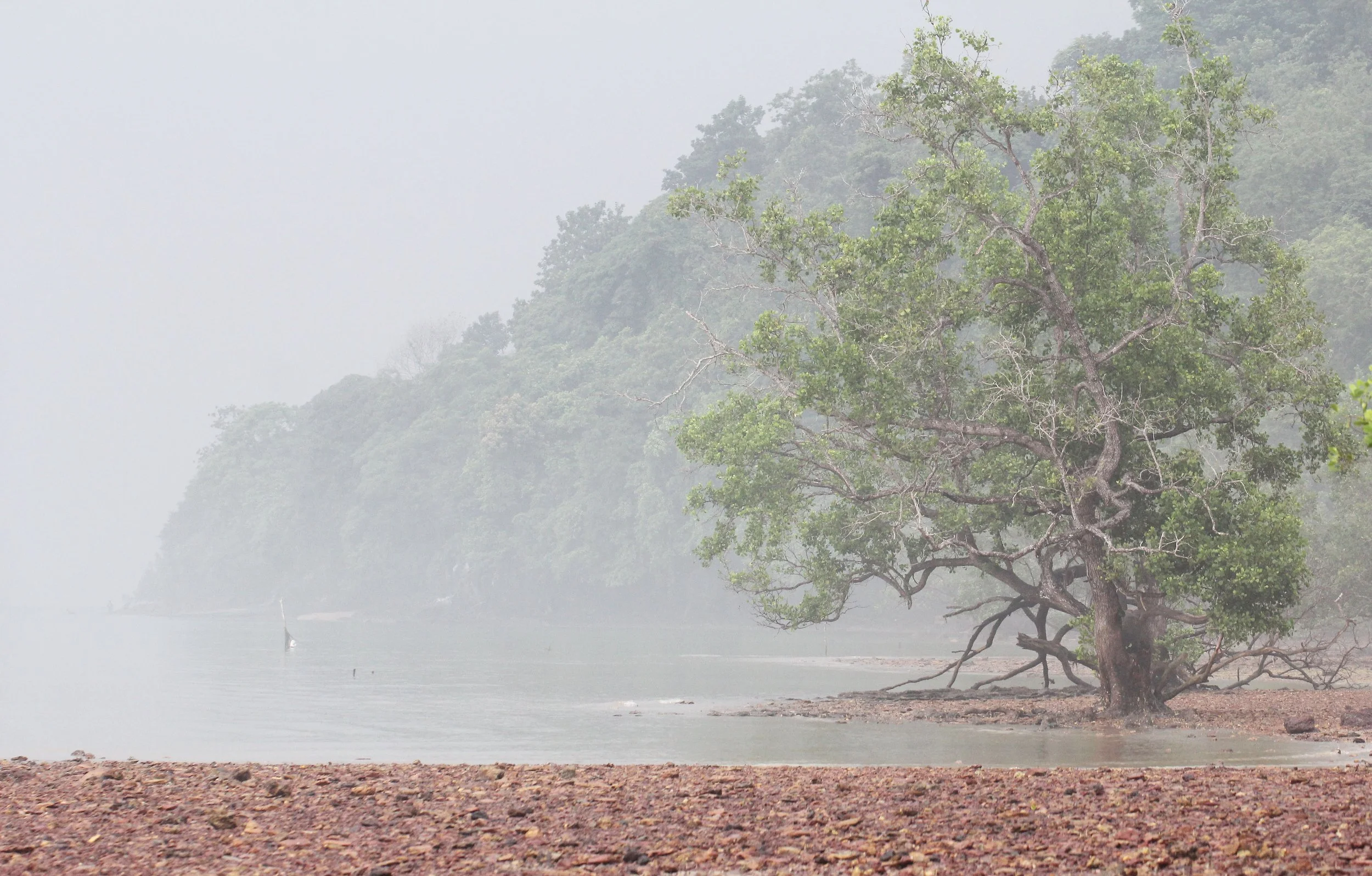 2015 Koh Lanta October Break Trip  (194).JPG