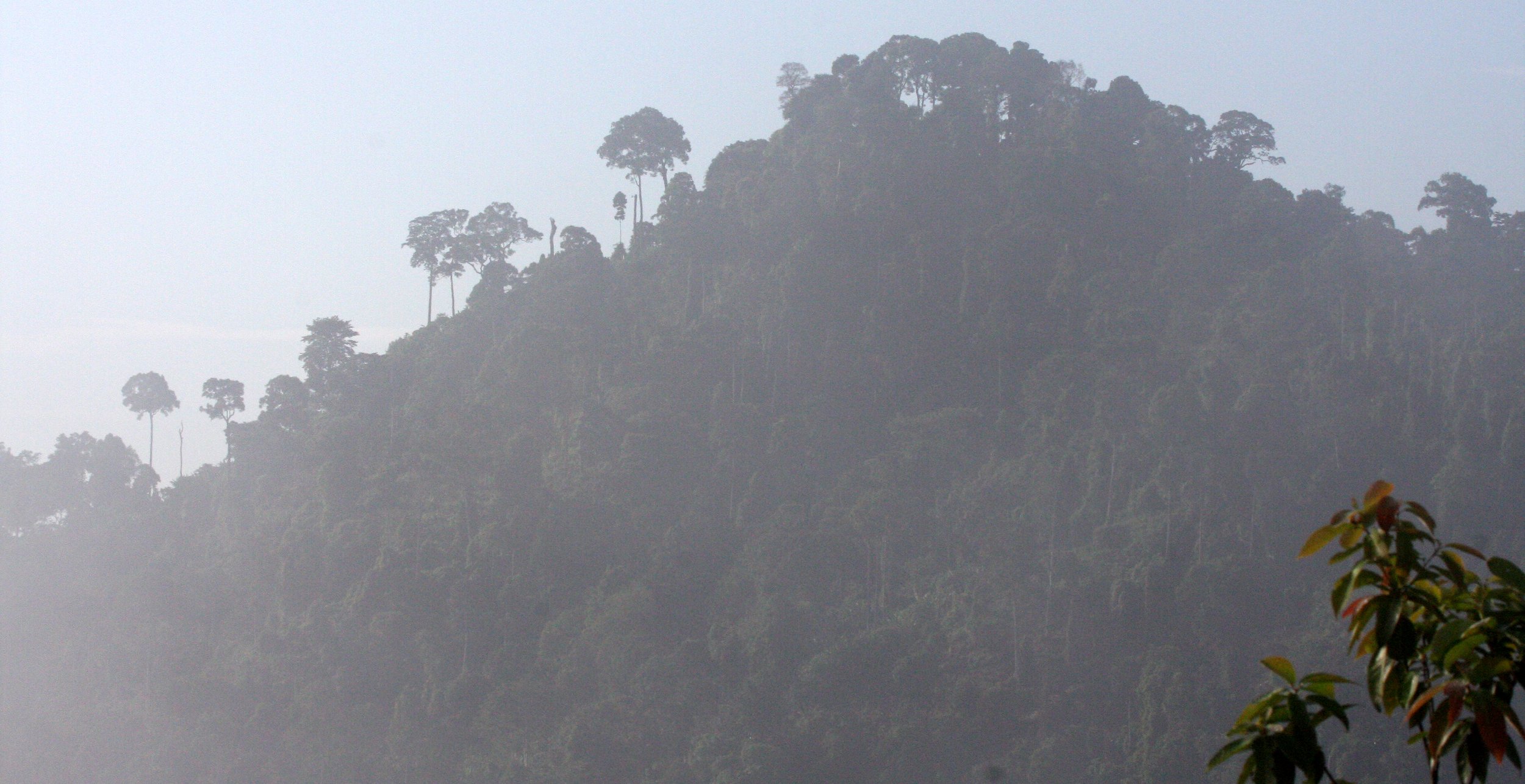 KRUNG CHIN NP - THALE MOG VIEW POINT THAILAND (15).JPG