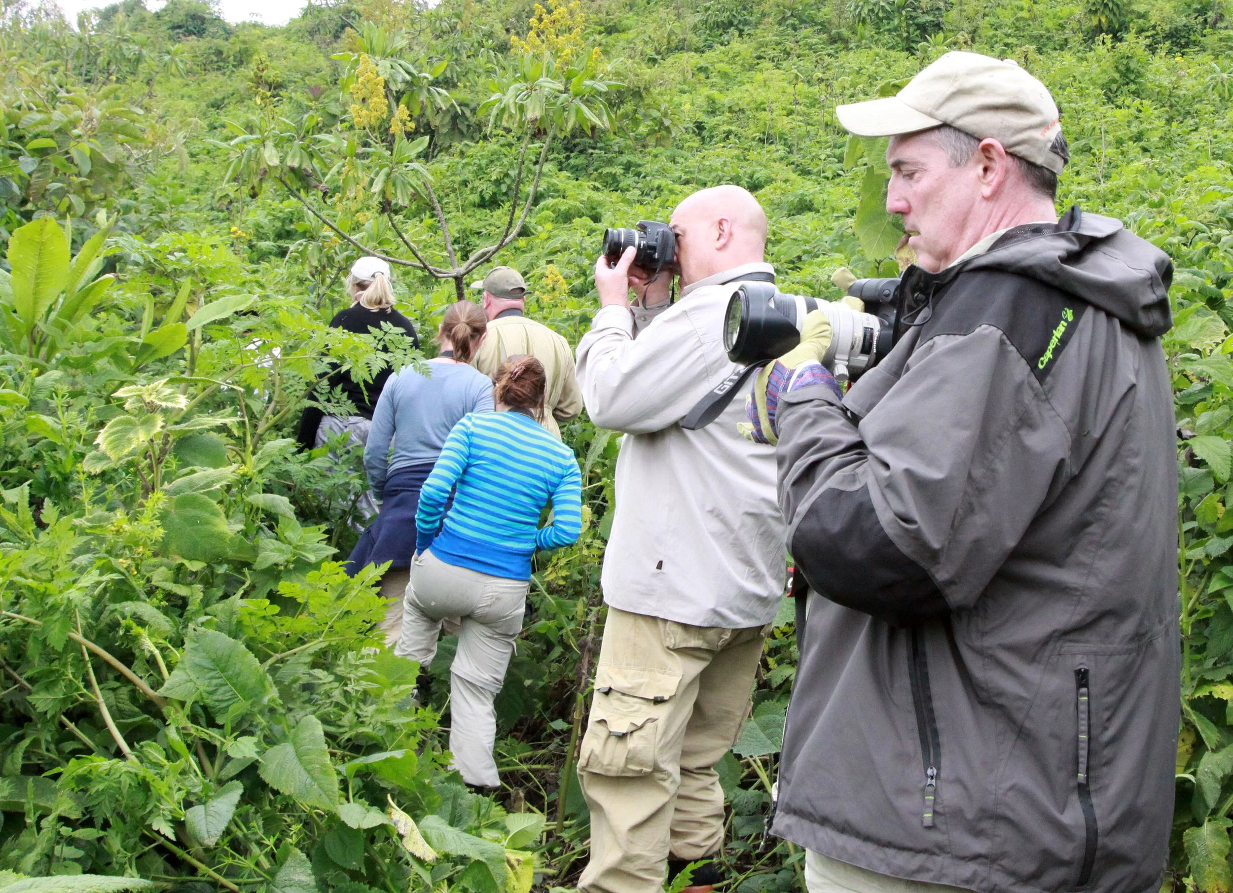 PARC DU VULCANS RWANDA (387).JPG