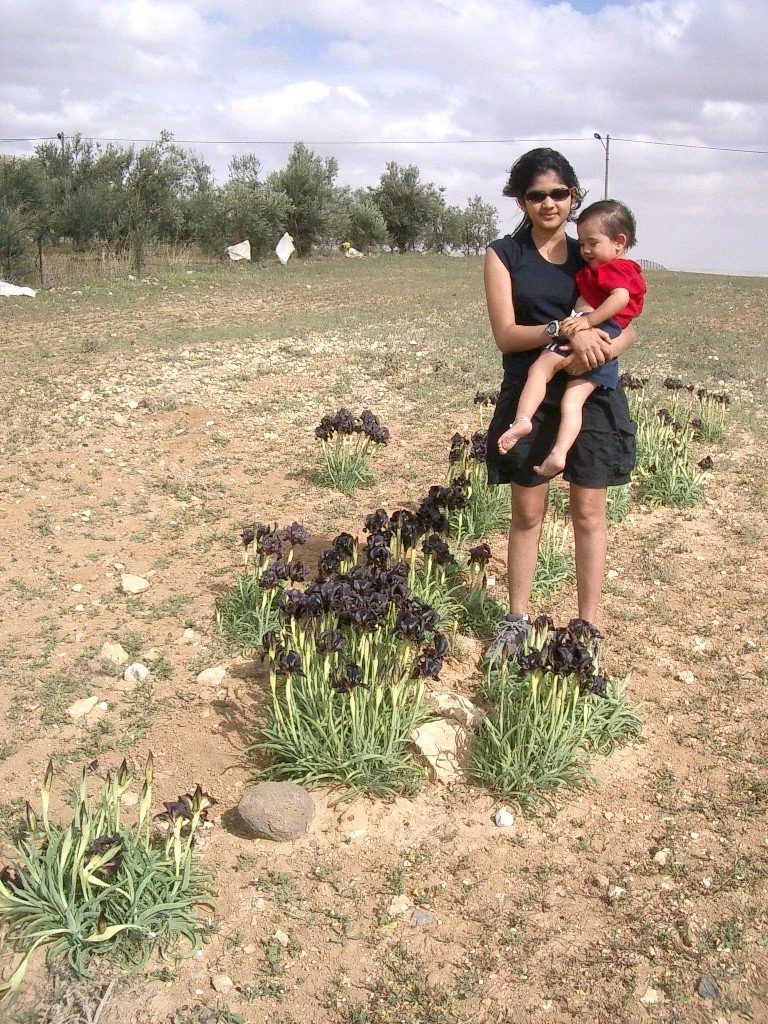 JORDAN - IRIS - BLACK IRIS (4).JPG