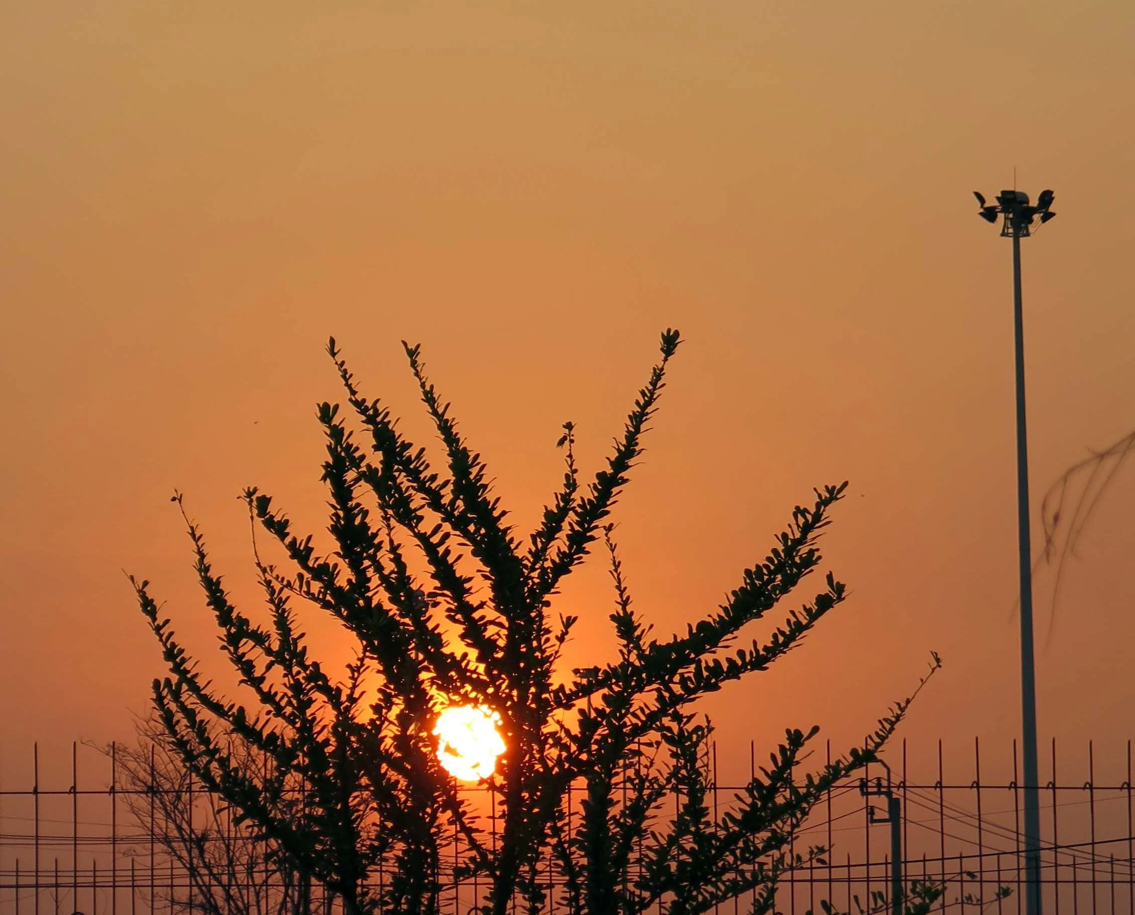 2013 - BANGKOK - NOVEMBER 2013 - MARCH 2014 (23).JPG