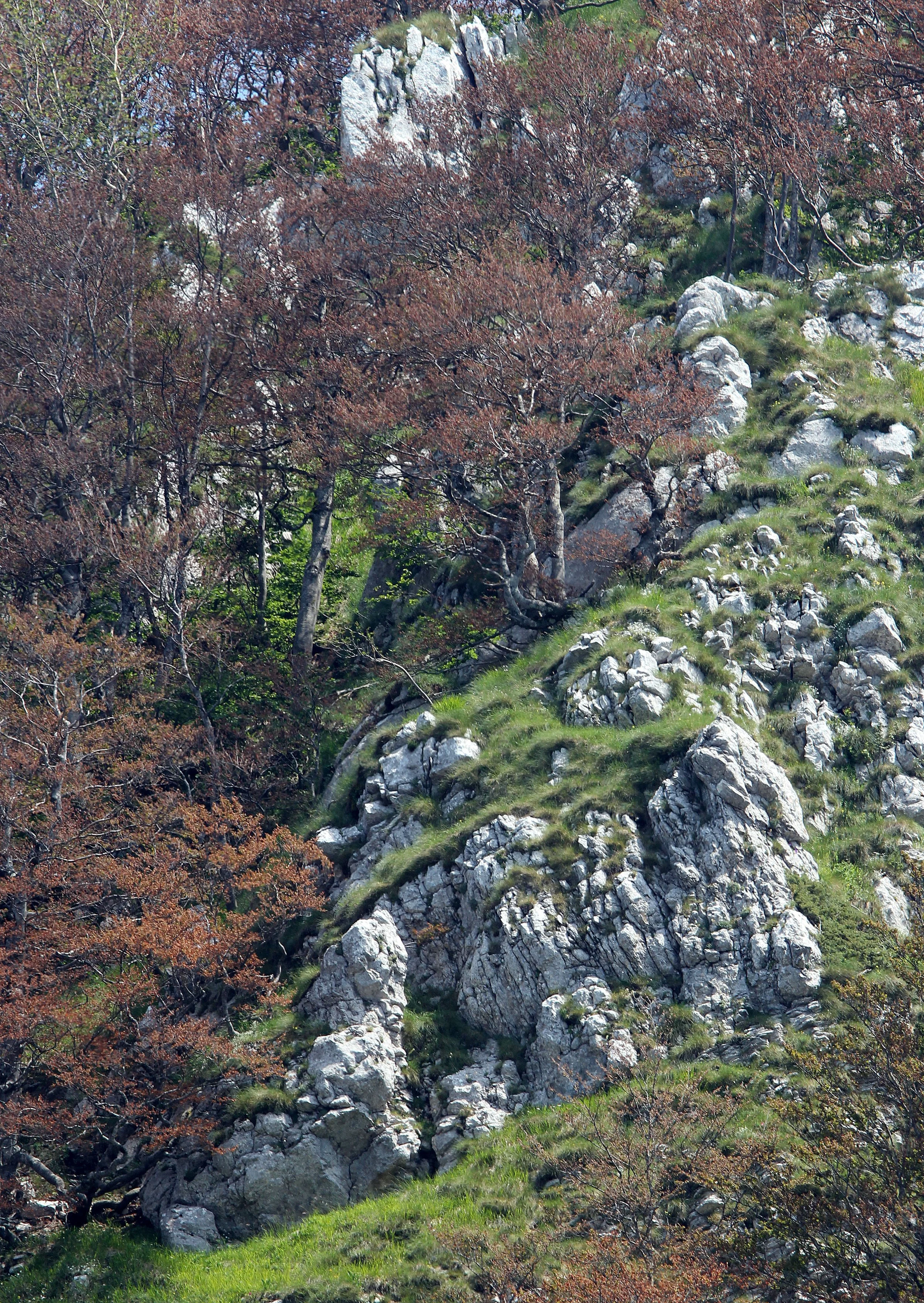ABRUZZO NATIONAL PARK ITALY (63).JPG