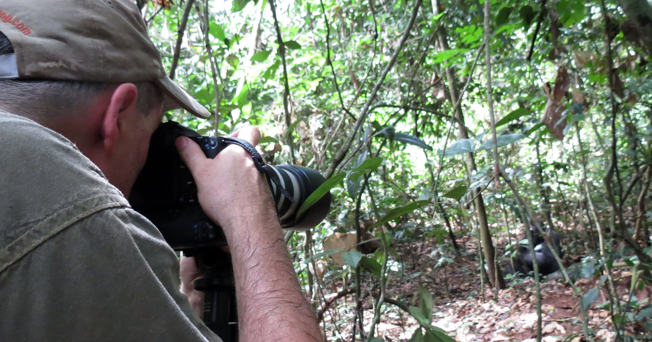 DZANGA NDOKI NATIONAL PARK  - CENTRAL AFRICAN REPUBLIC (5).JPG