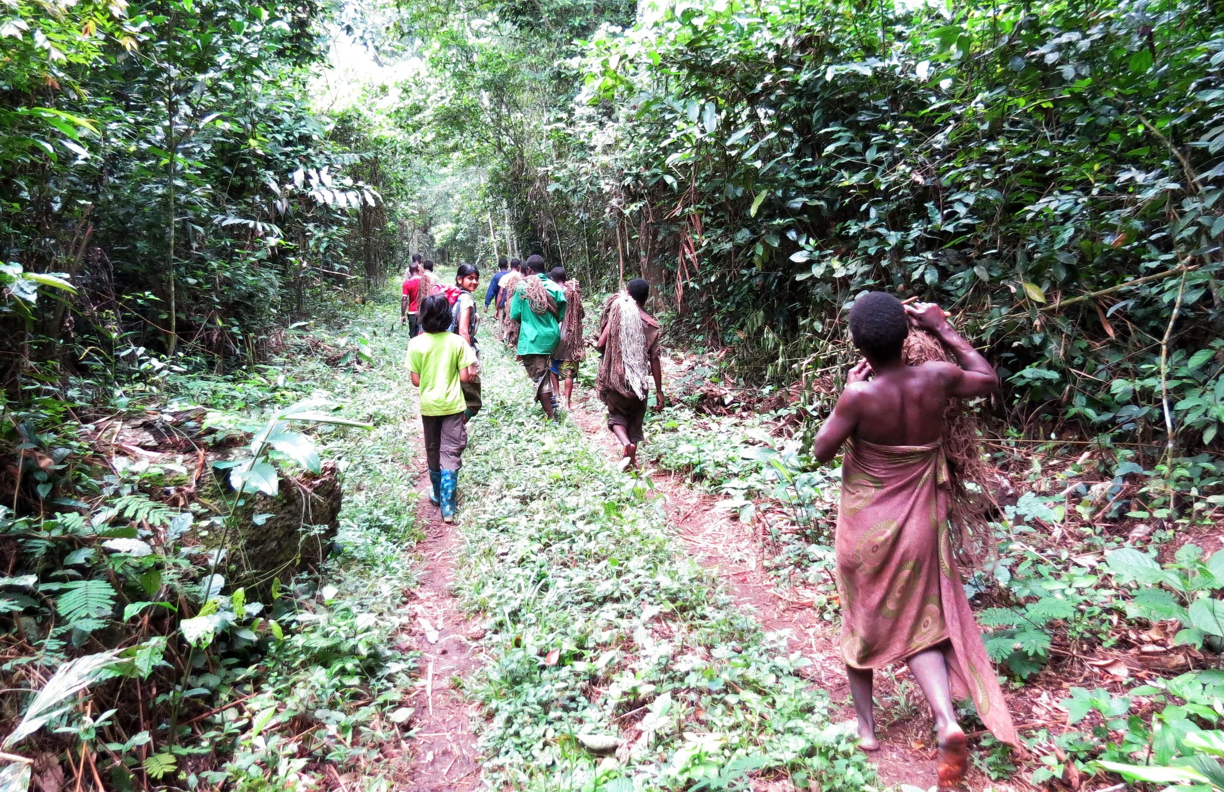 DZANGA NDOKI NP CENTRAL AFRICAN REPUBLIC - DAY WITH THE BA'AKA PYGMY (6).JPG