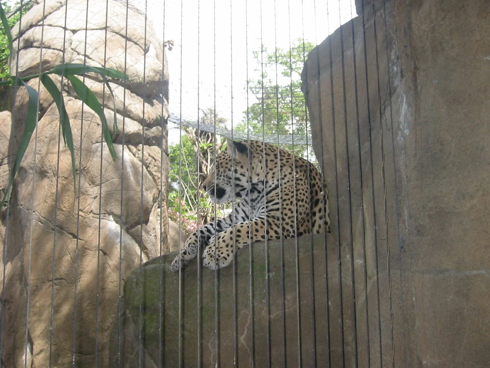 2003-4-1 SPRING TRIP TO SACRAMENTO (29).JPG