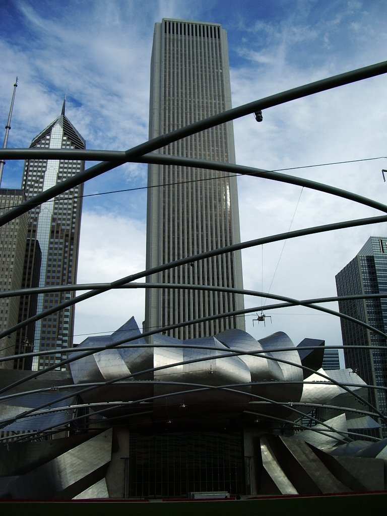 2004-11-6  CHICAGO FOR BIO TEACHERS CONFERENCE (2).JPG