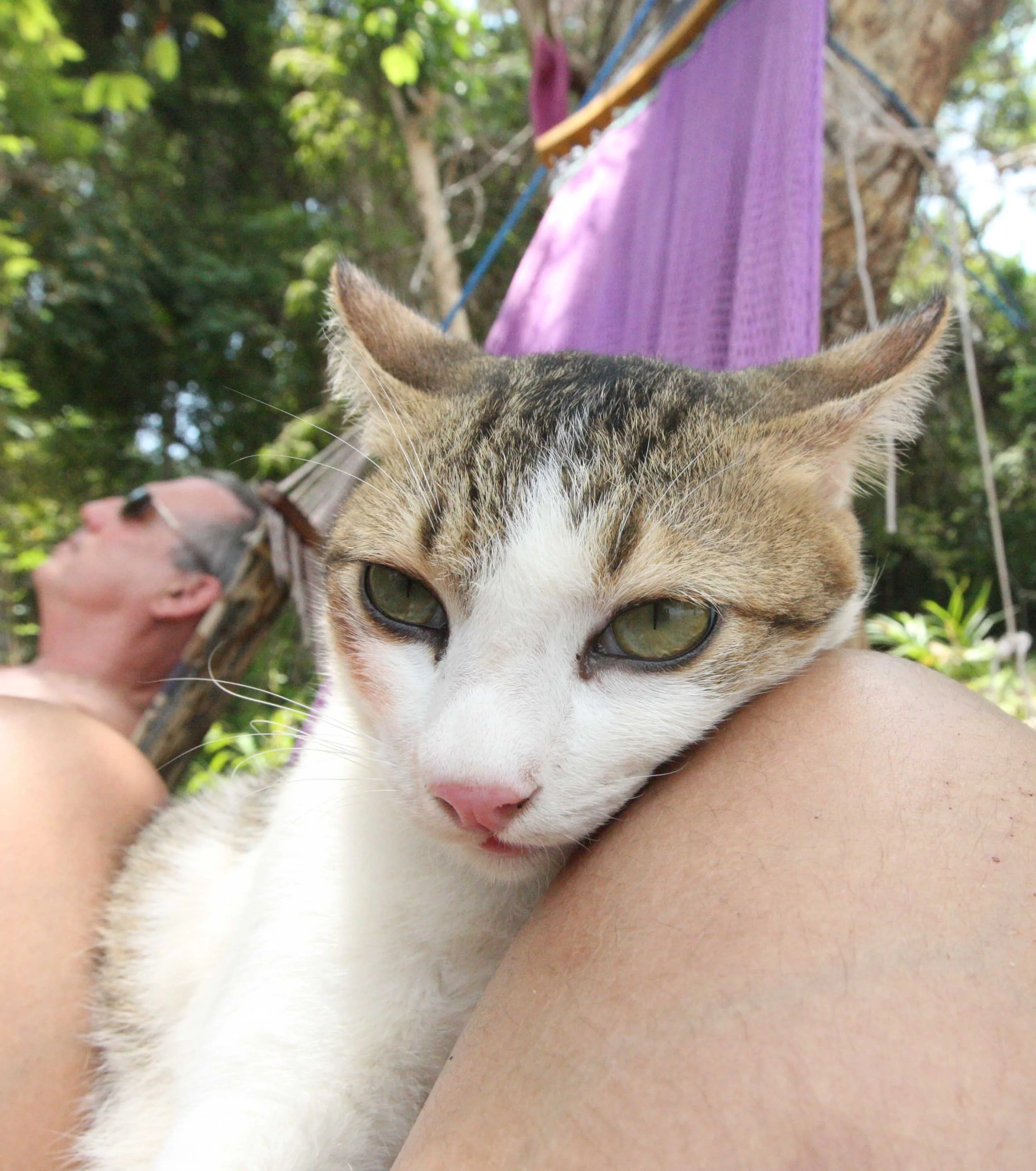 2015 Koh Lanta Songkran with friends from ISB (278).JPG