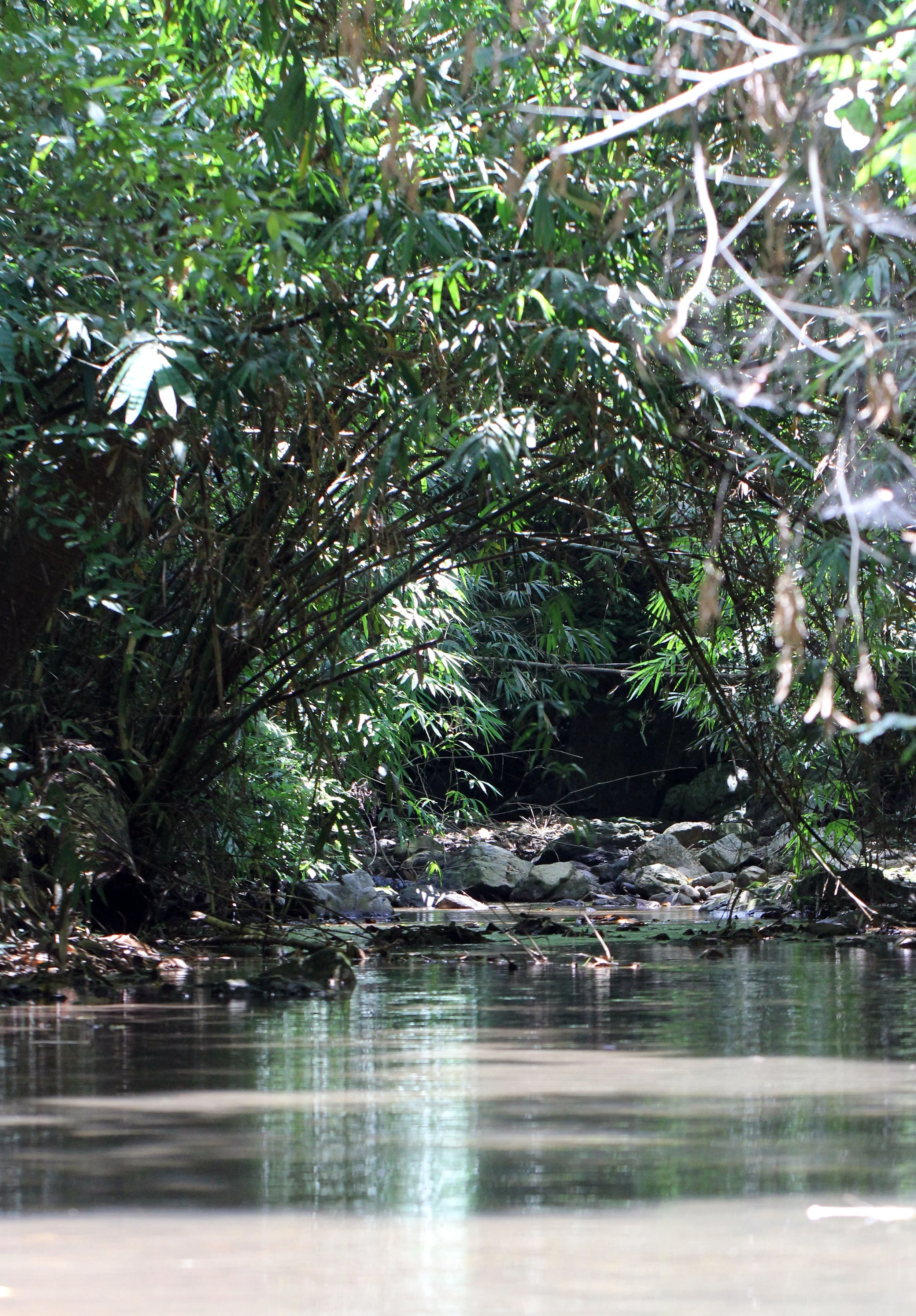 2014 Kaeng Krachan with Cokie & Som and Phil & Shelley Summer Travels (67).JPG