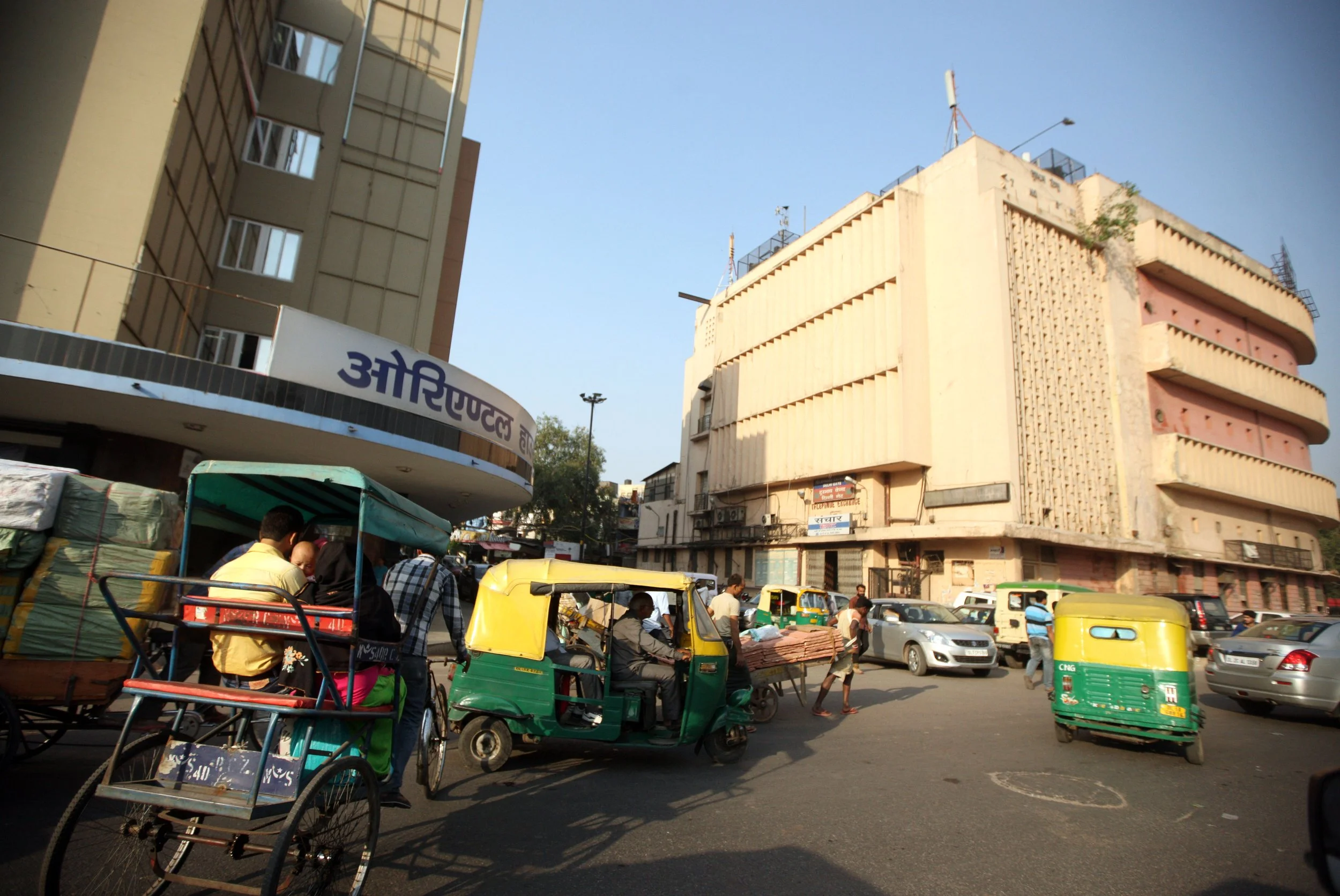 OLD DELHI INDIA - SNOW LEOPARD TRIP 2014 (11).JPG