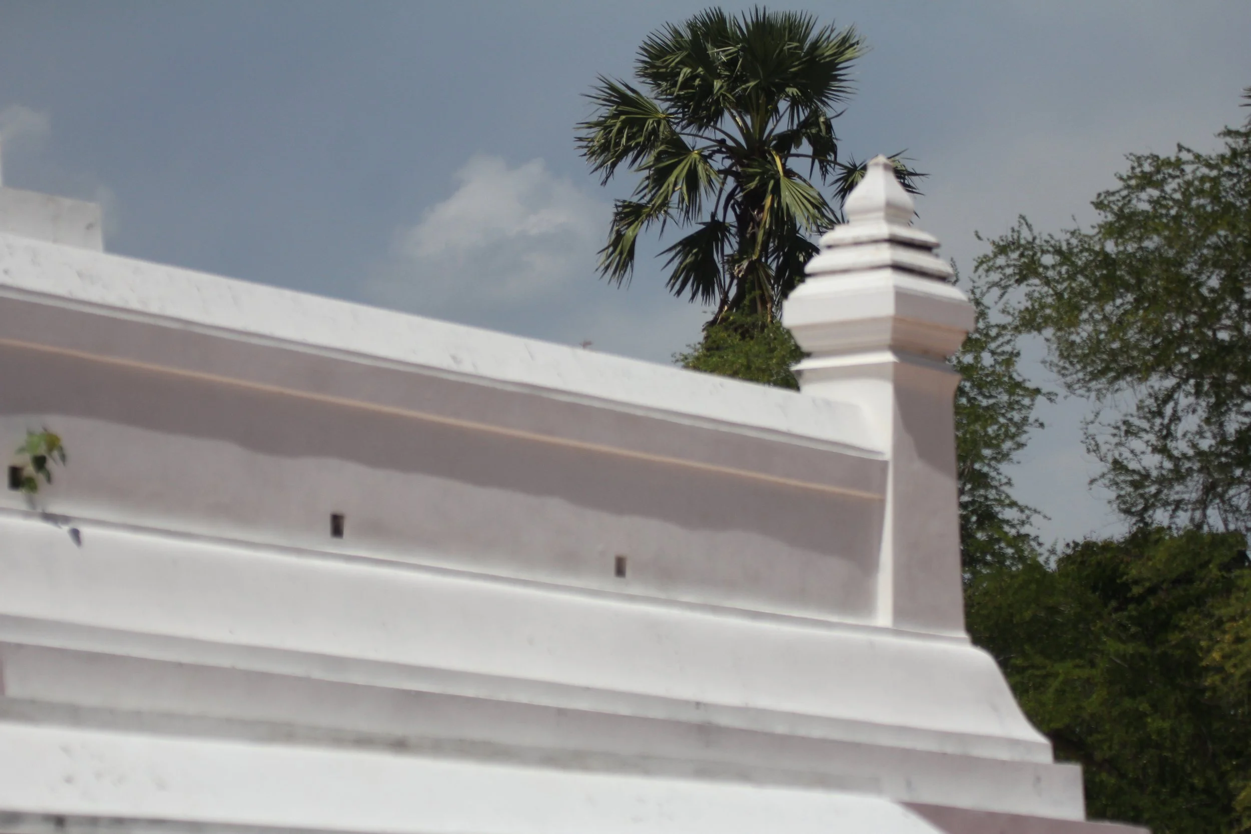 2020 - Ayutthaya Cokie's Pictures (179).JPG