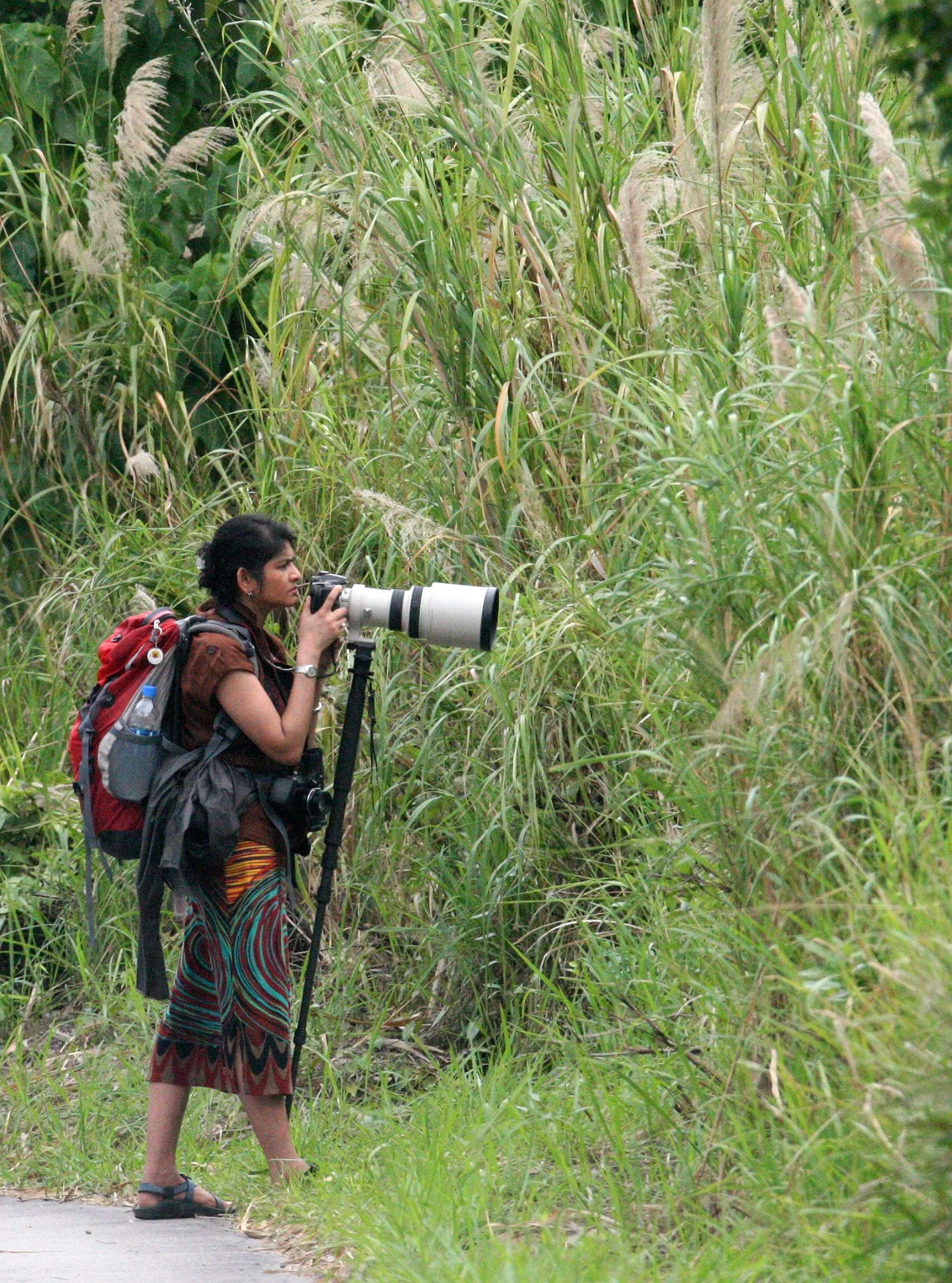 MAI PO WETLANDS HONG KONG (13).JPG