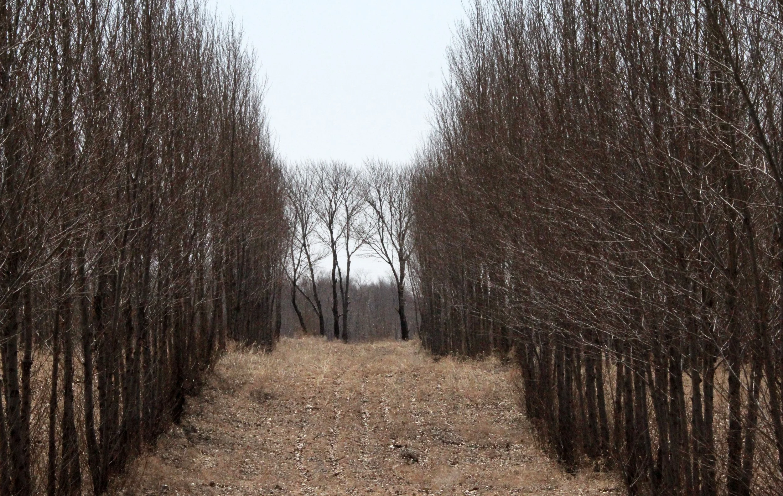 INNER MONGOLIA 2013 (789).JPG