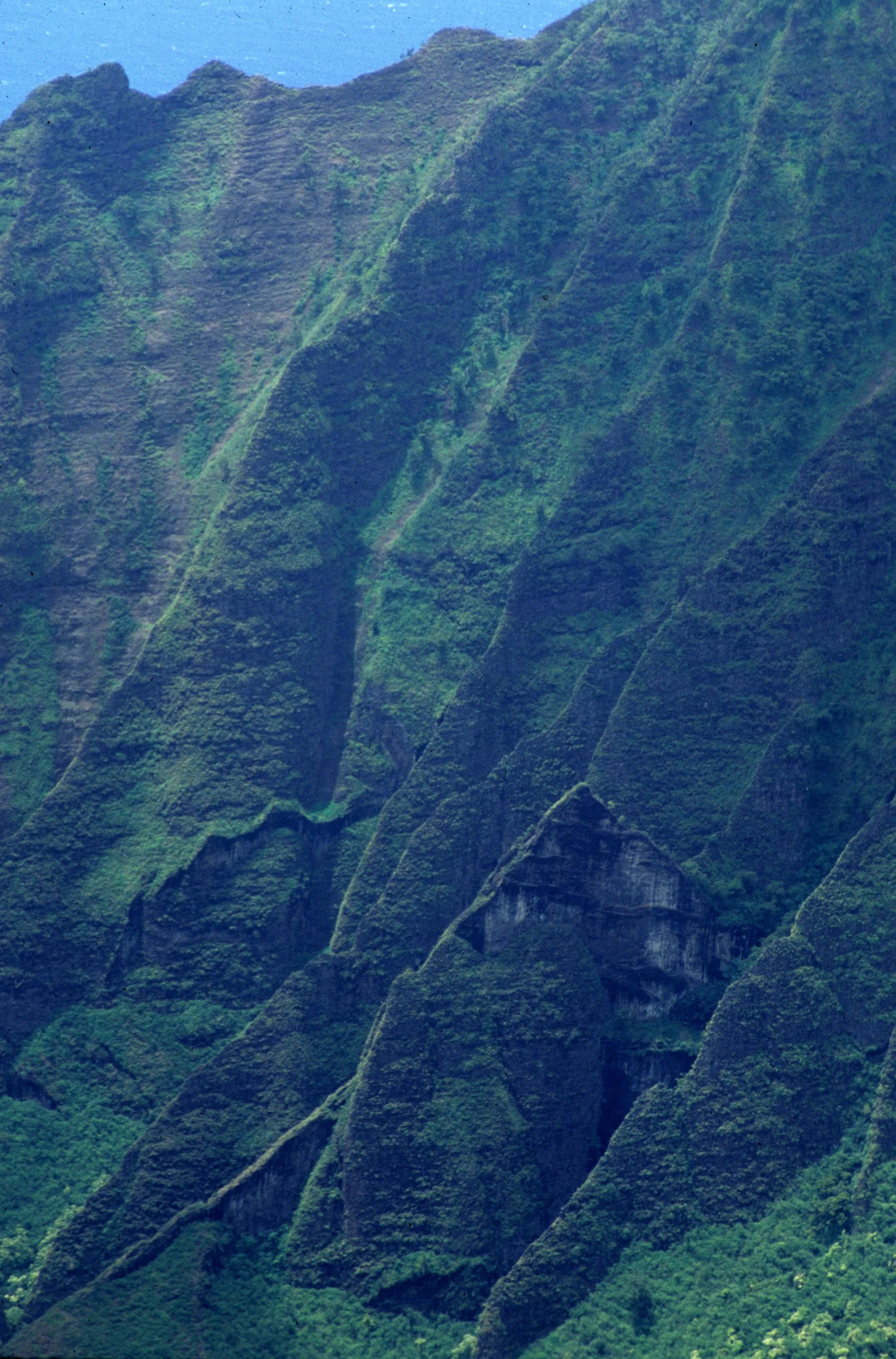 HAWAII - KAUAI - PALI COAST FROM HELICOPTER.jpg
