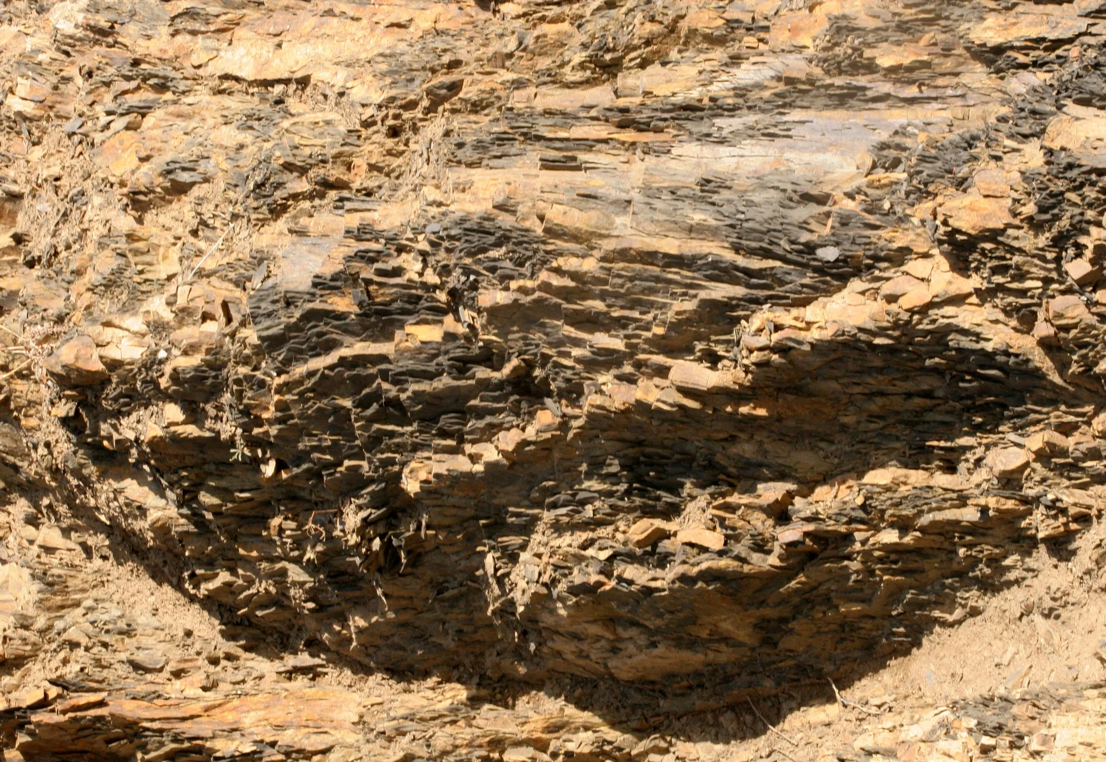GEOLOGY - SEDIMENTARY CHEVRON - HURRICANE HILL TRAIL.JPG