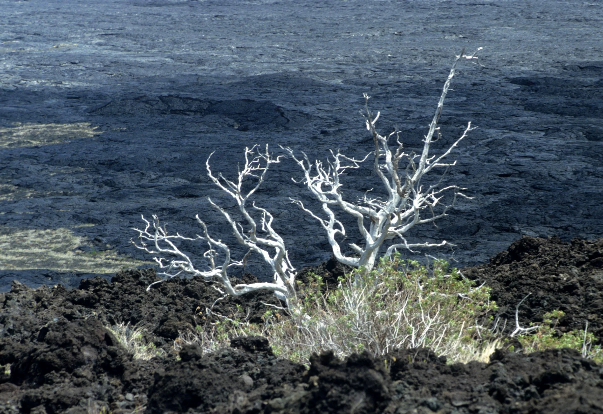 HAWAII - HAWAII - VOLCANOES NP.jpg