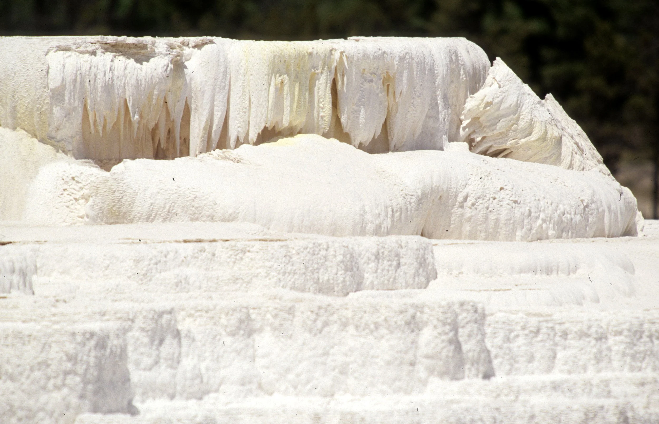 YELLOWSTONE - MAMMOTH HOTSPRINGS V.jpg
