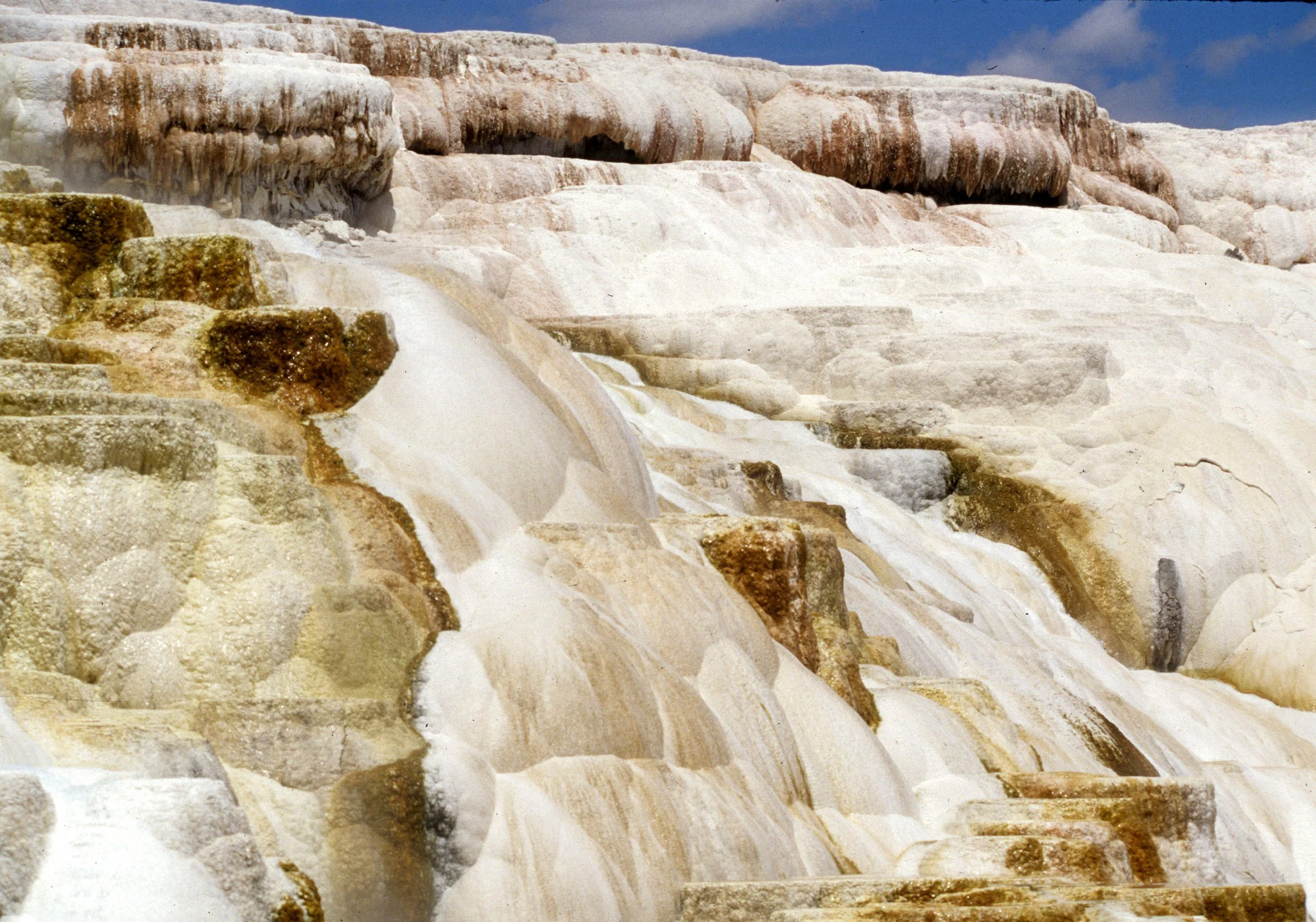YELLOWSTONE - MAMMOTH HOTSPRINGS AA.jpg