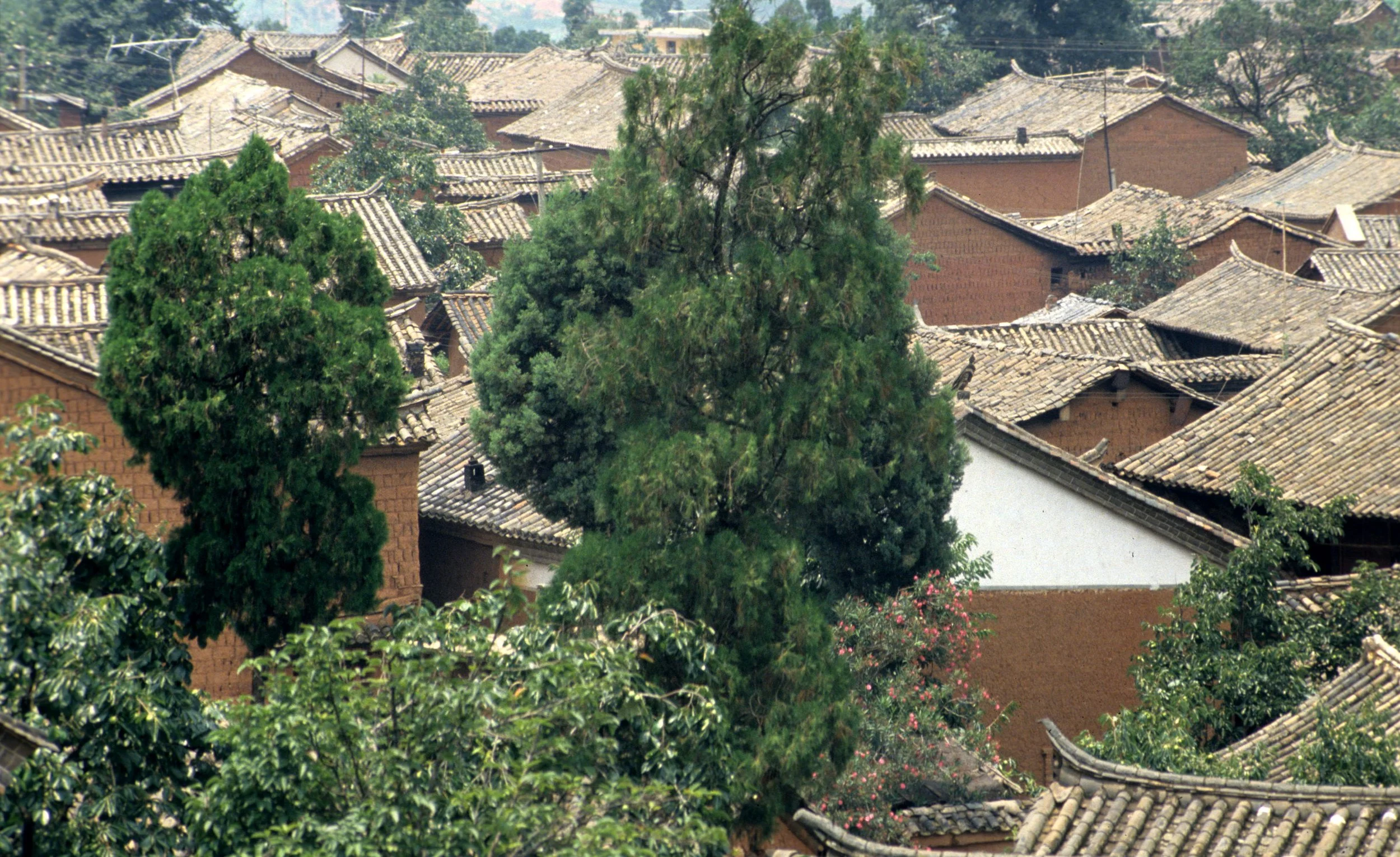 KUNMING - TIBETAN PLATEAU (12).jpg