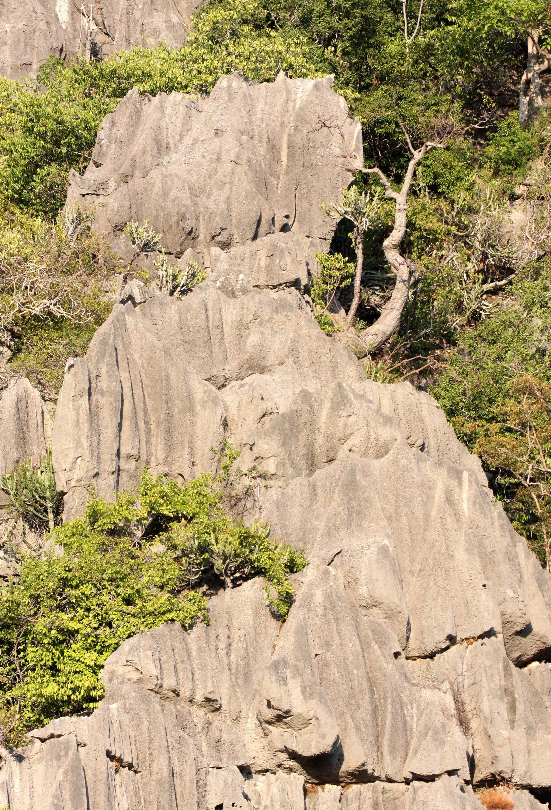 KHAO SAM ROI YOT THAILAND - 2009 (6).JPG