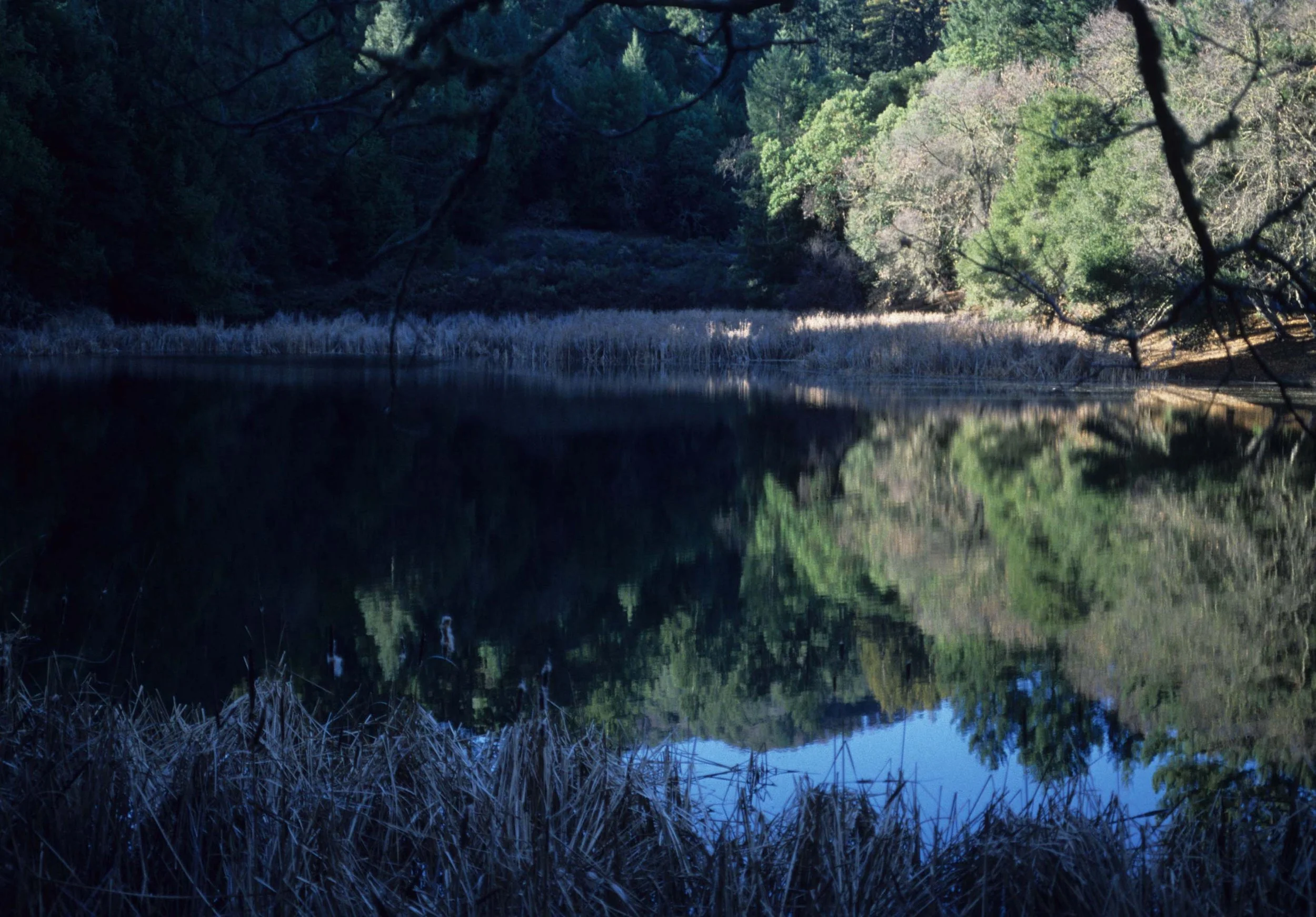 CALIFORNIA - JACK LONDON SP (3).jpg