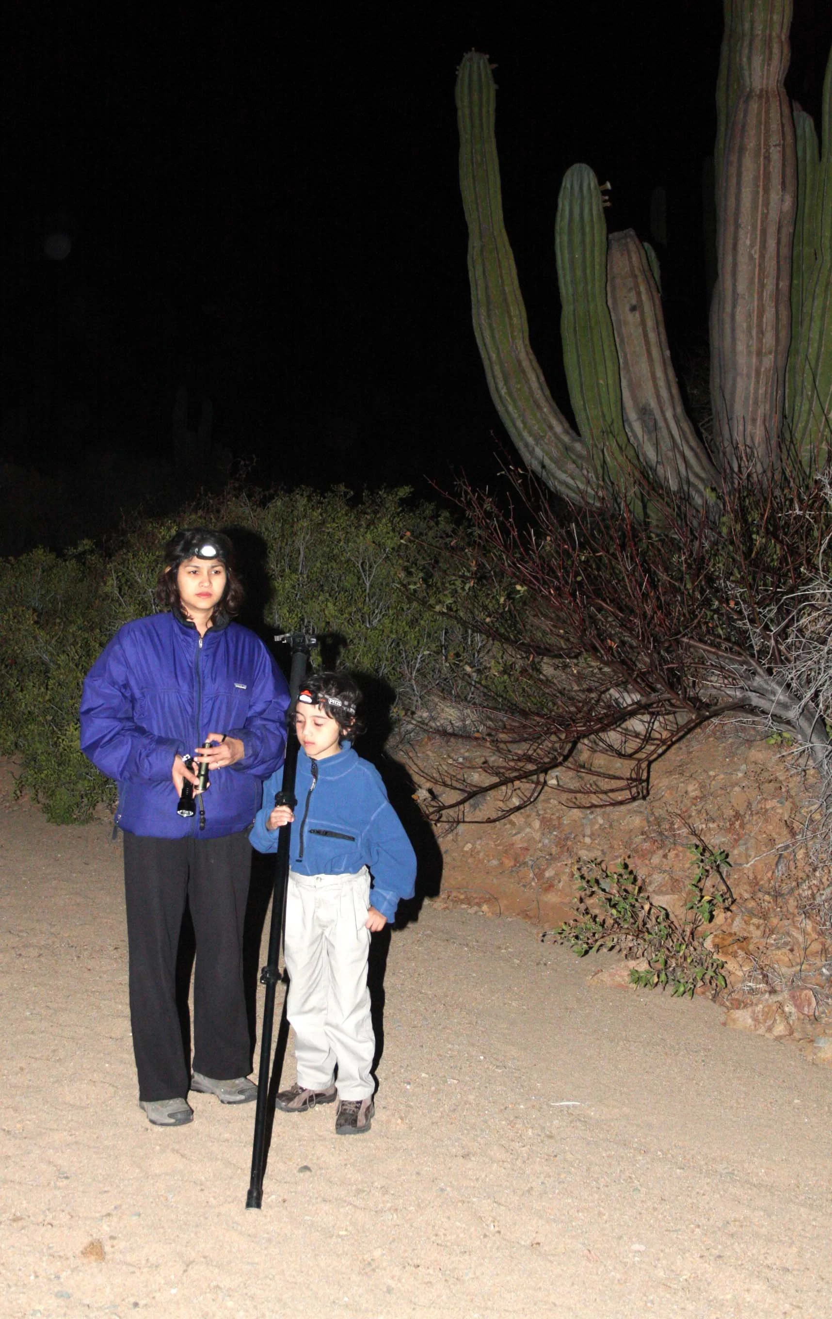 ISLA SANTA CATALINA BAJA MEXICO - NIGHT WALK.JPG