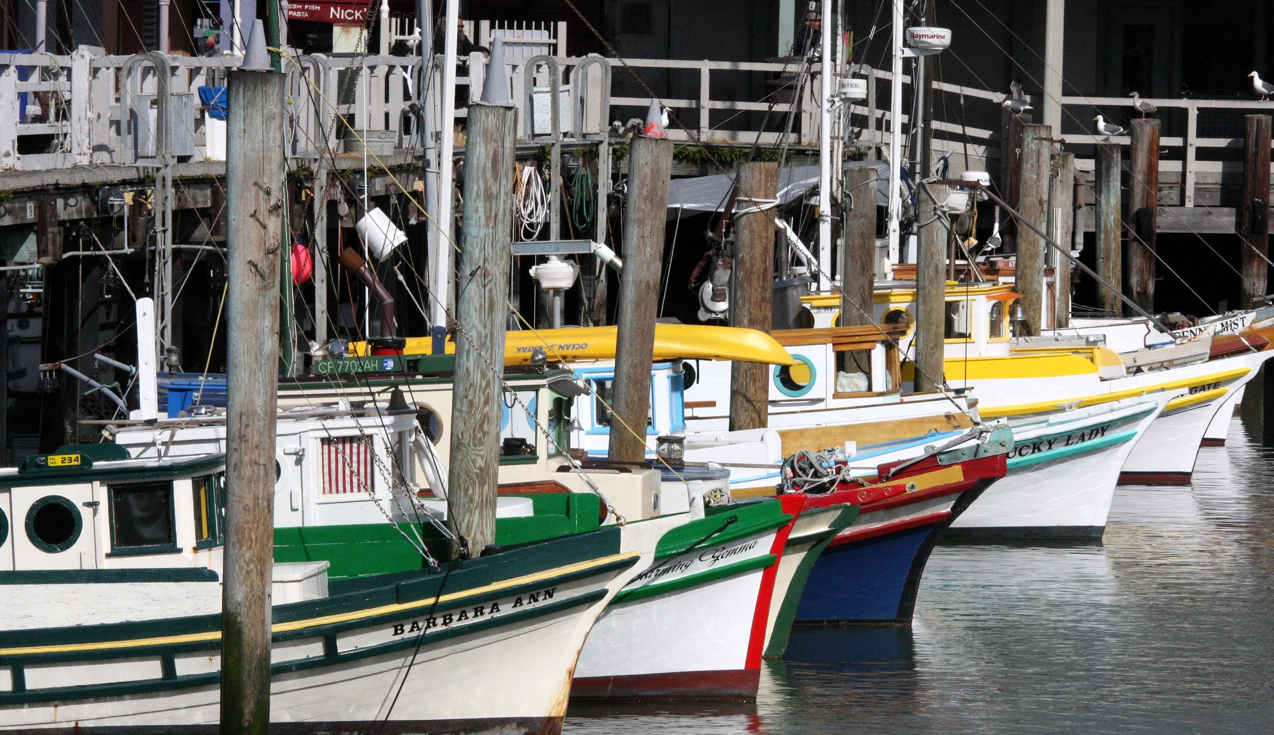 2010-3-31 SAN FRANCISCO - ROADTRIP 2010 (44).JPG