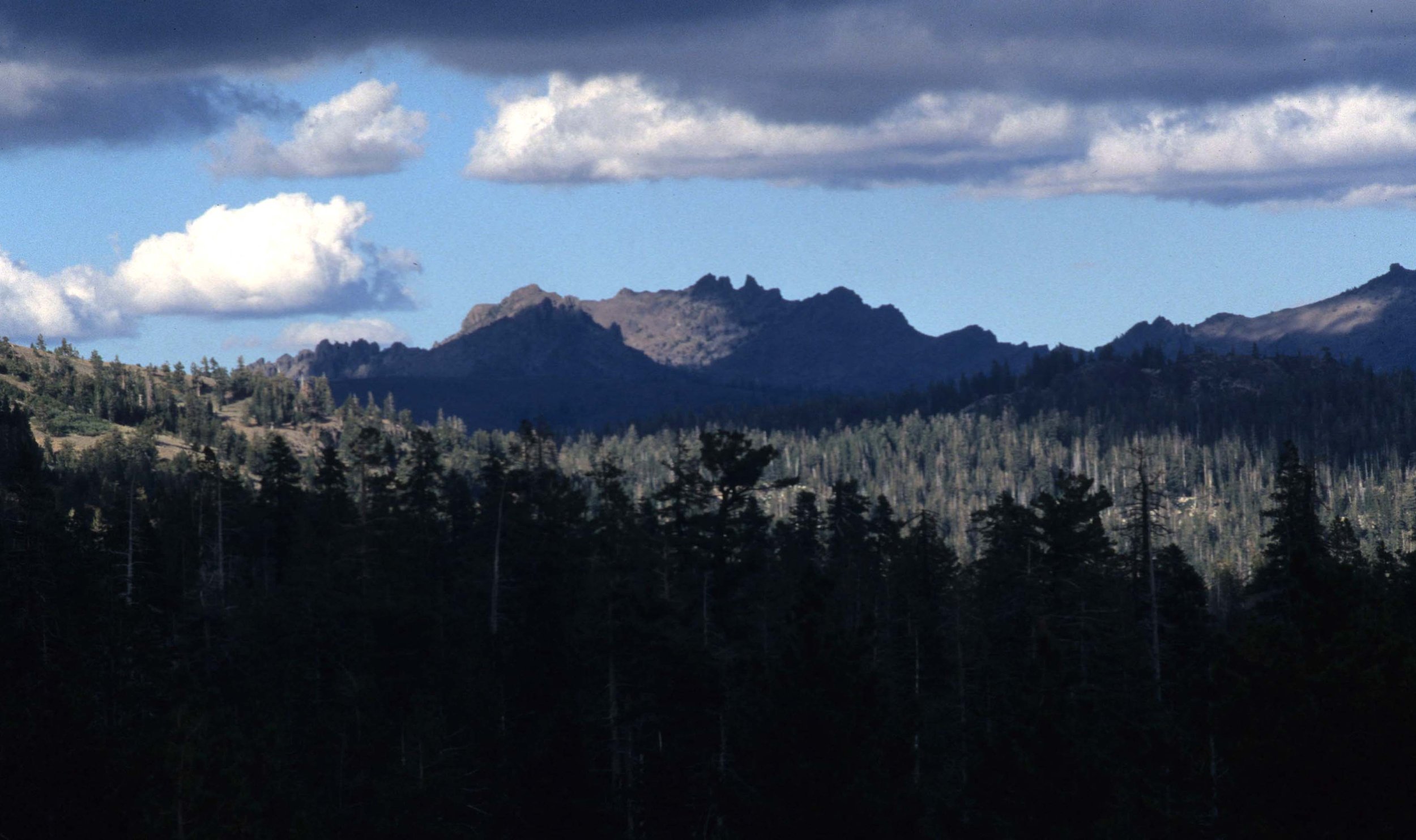 CALIFORNIA - SIERRA NEVADA MOUNTAINS (3).jpg