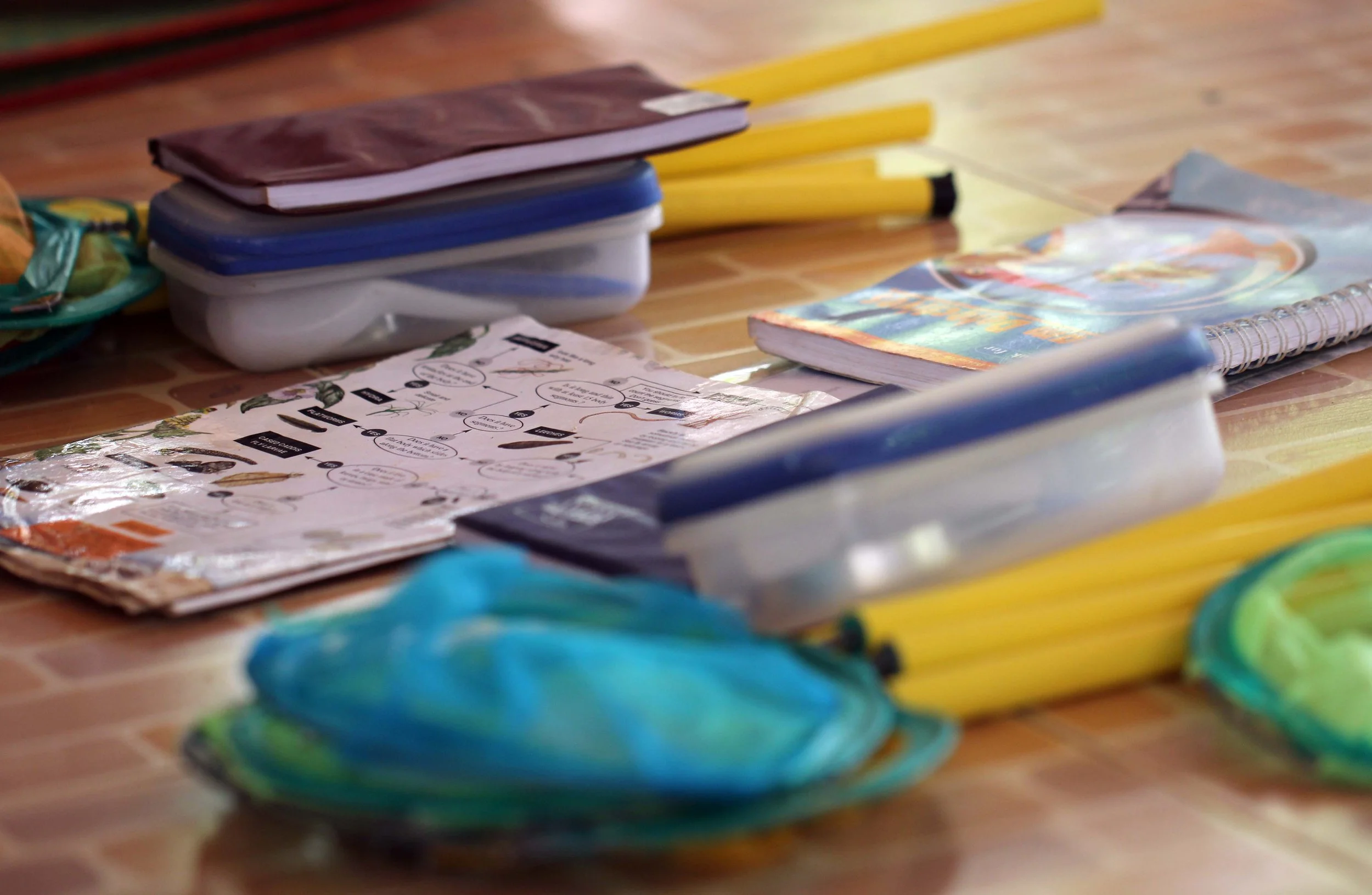 2014 ISB Trip to Tonte Falls in Trang (49).JPG