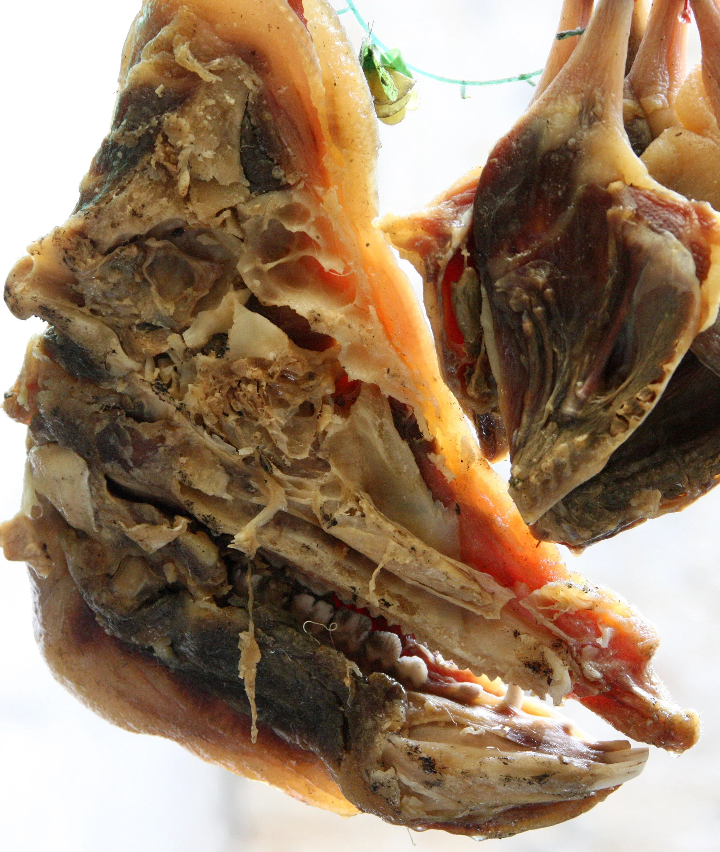 HONGCUN VILLAGE - ANHUI PROVINCE CHINA (121).JPG