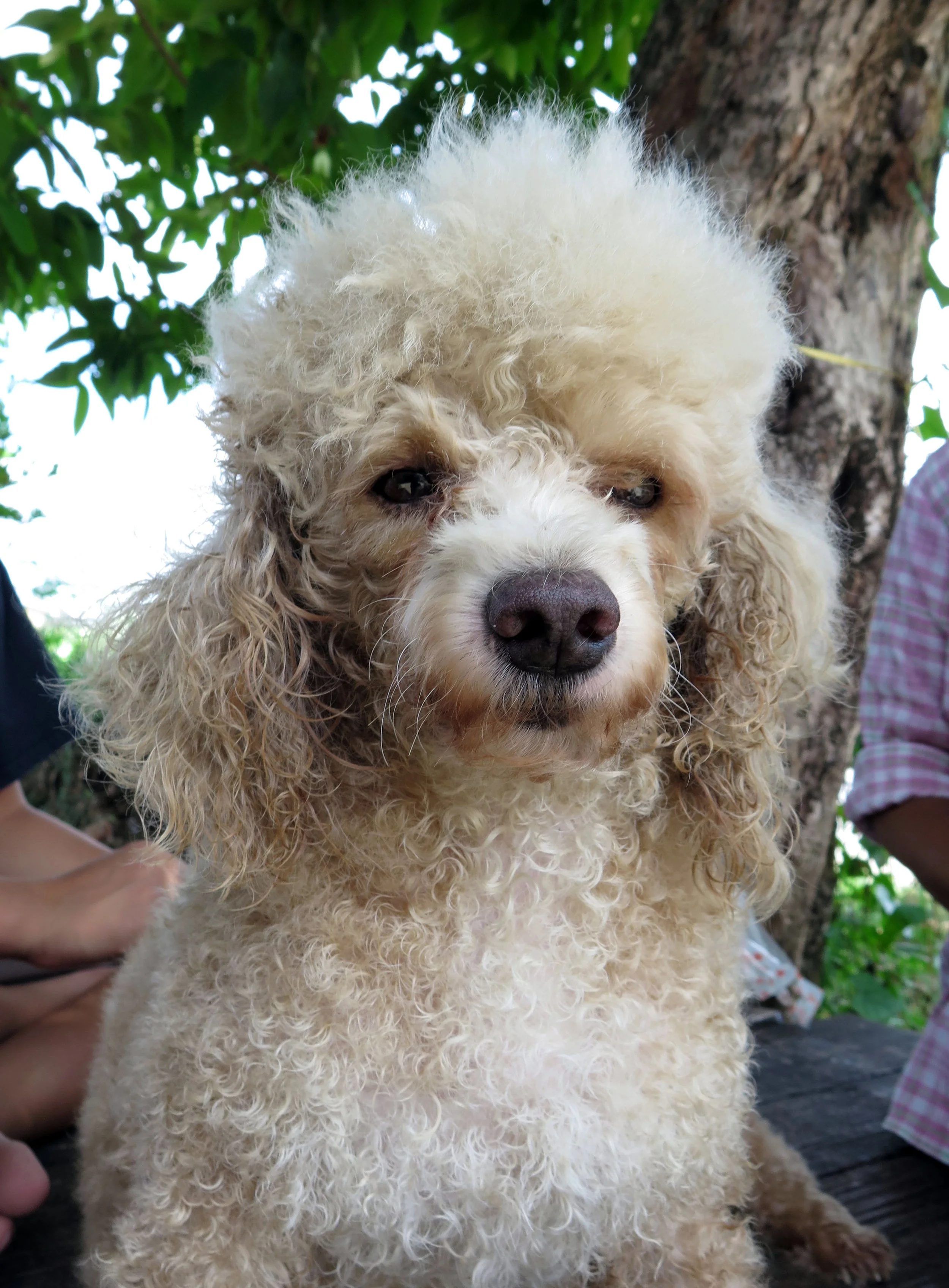 2014 Nakhonsithammarat with Family (61).JPG