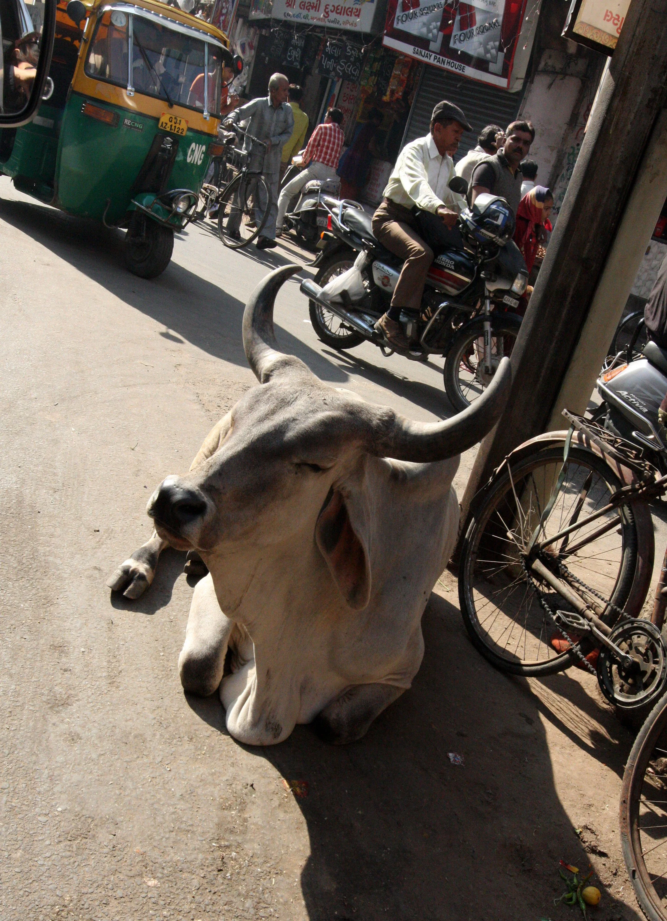 GUJARAT - AHMEDABAD - INDIA (3).JPG