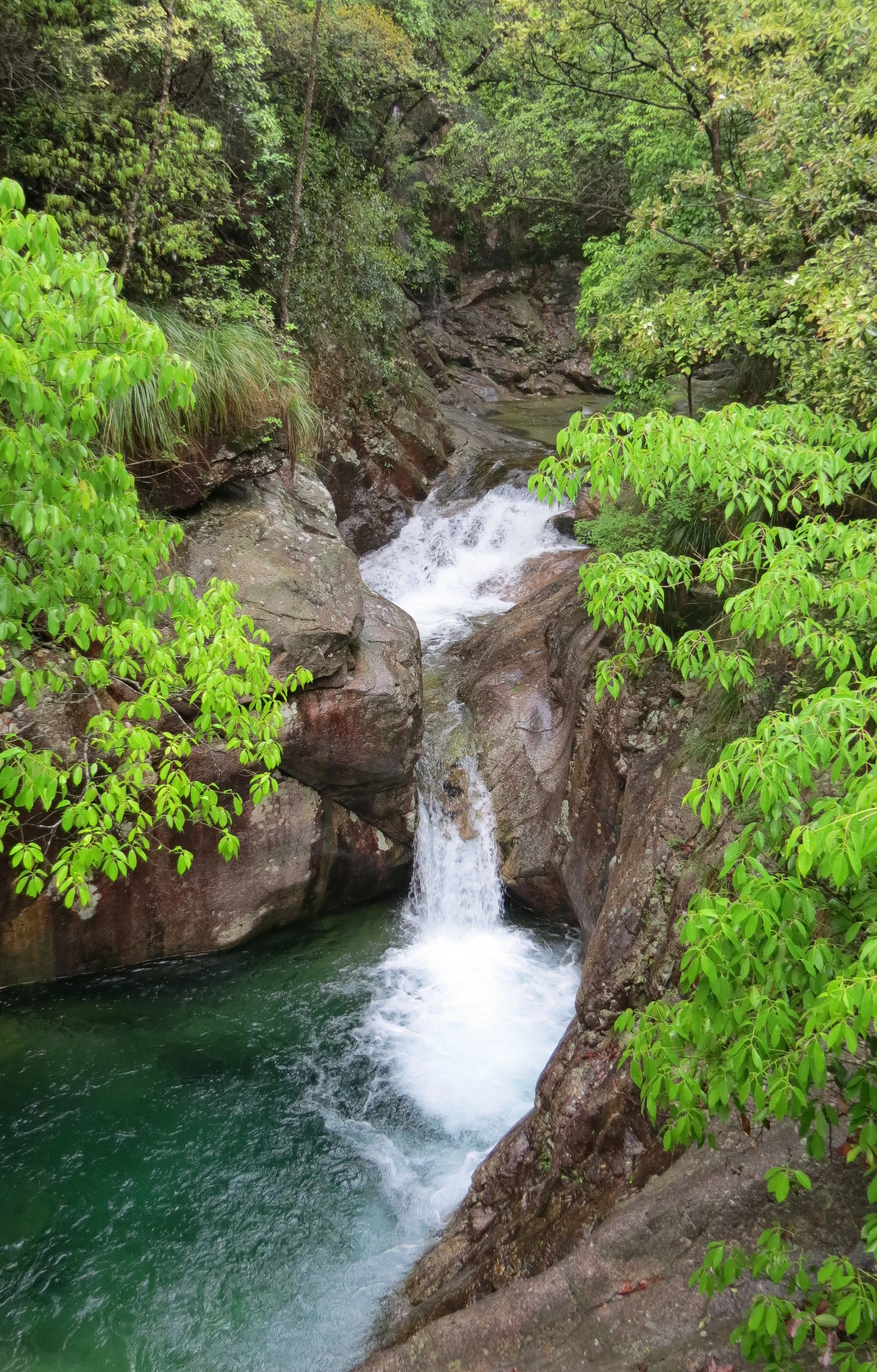GUNIUJIANG NATURE RESERVE - ANHUI PROVINCE CHINA (61).JPG